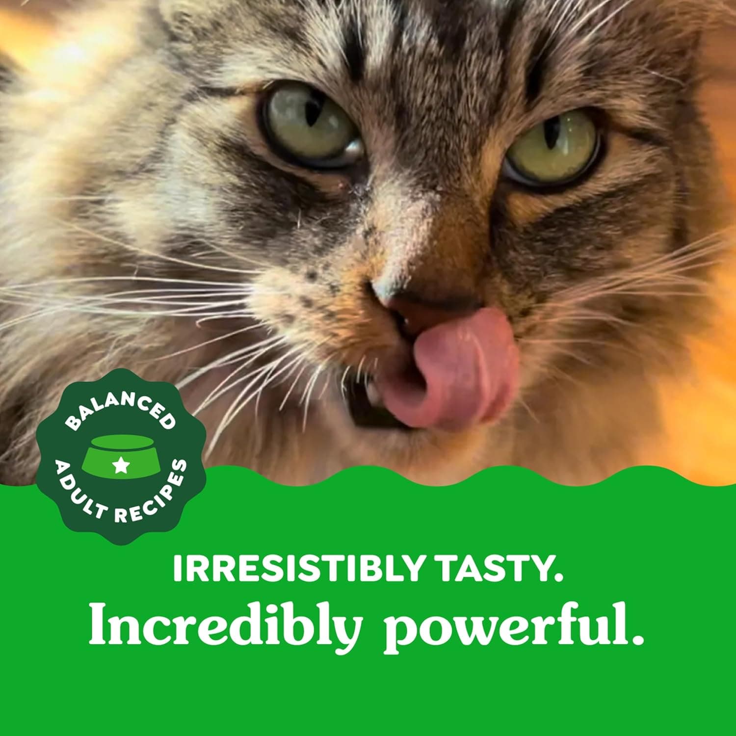 Greenies Feline Adult Dental Cat Treats, Oven Roasted Chicken Flavor, 9.75 oz. Tub Chicken 9.75 Ounce (Pack of 1) - Image 13