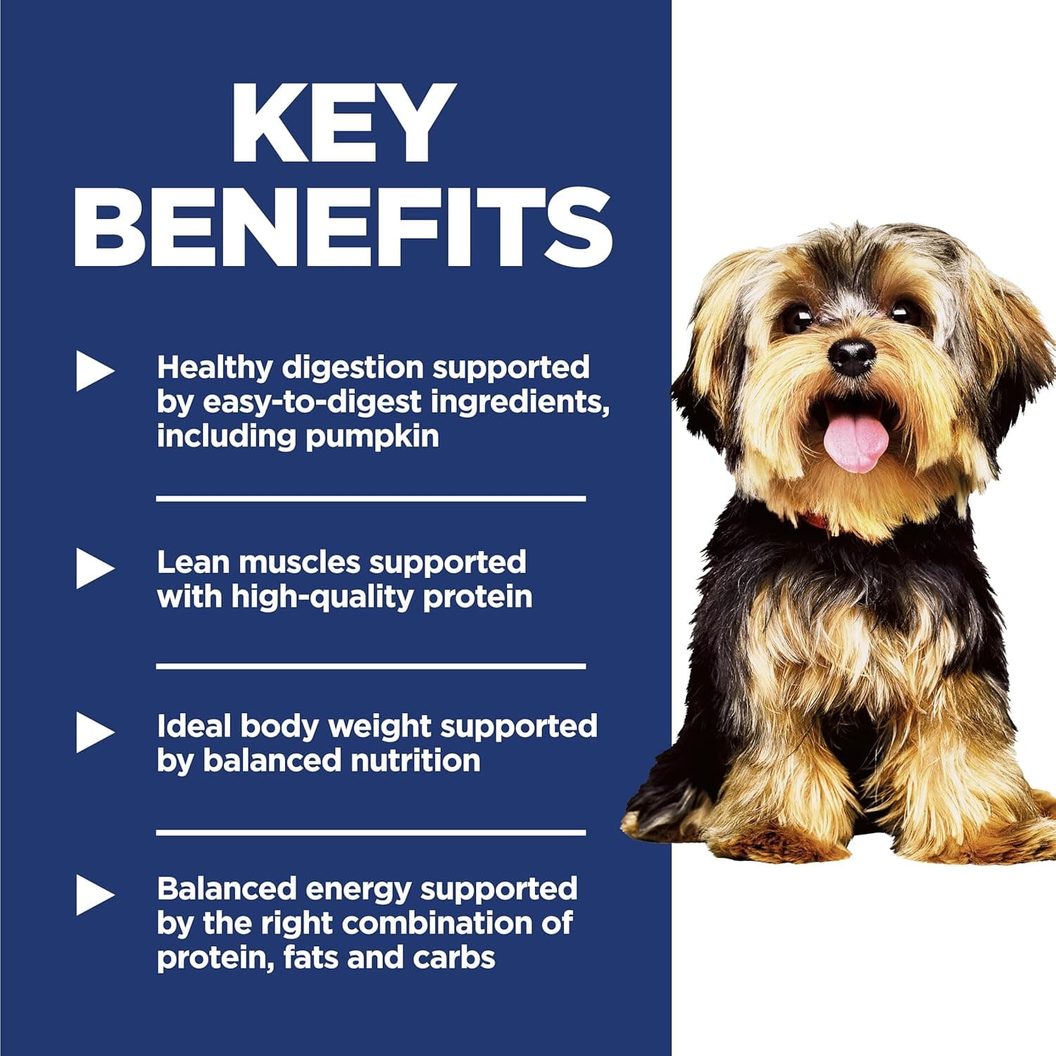 Hill's Science Diet 小型与迷你犬，成年1-6岁，小型与迷你犬种优质营养，干狗粮，鸡肉与糙米，4.5升 - Image 5