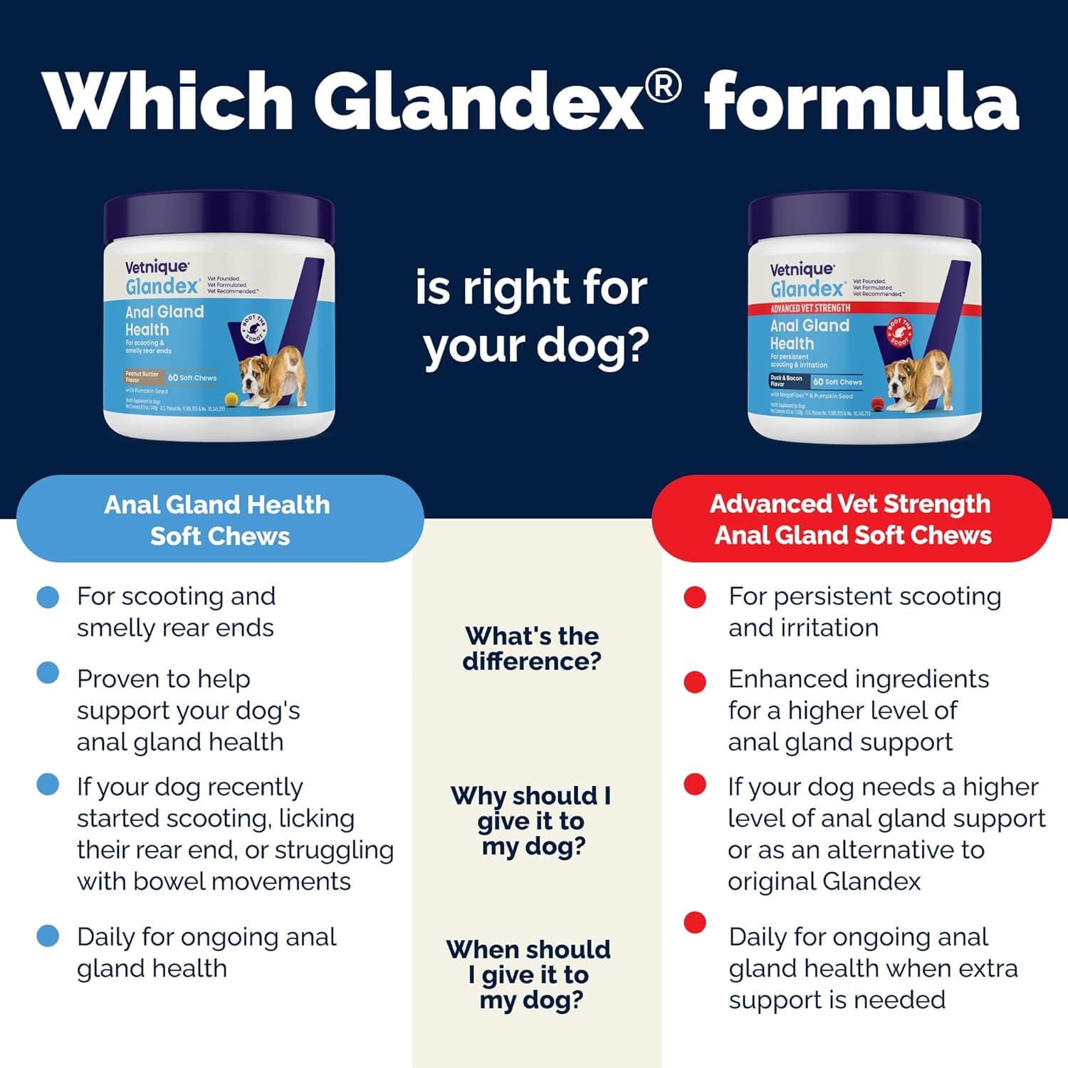 Vetnique Glandex Anal Gland Soft Chew Treats na may Kalabasa para sa mga Enzima ng Tiyan ng Aso, Probiotics Fiber Supplement para sa mga Aso Bo - Image 8