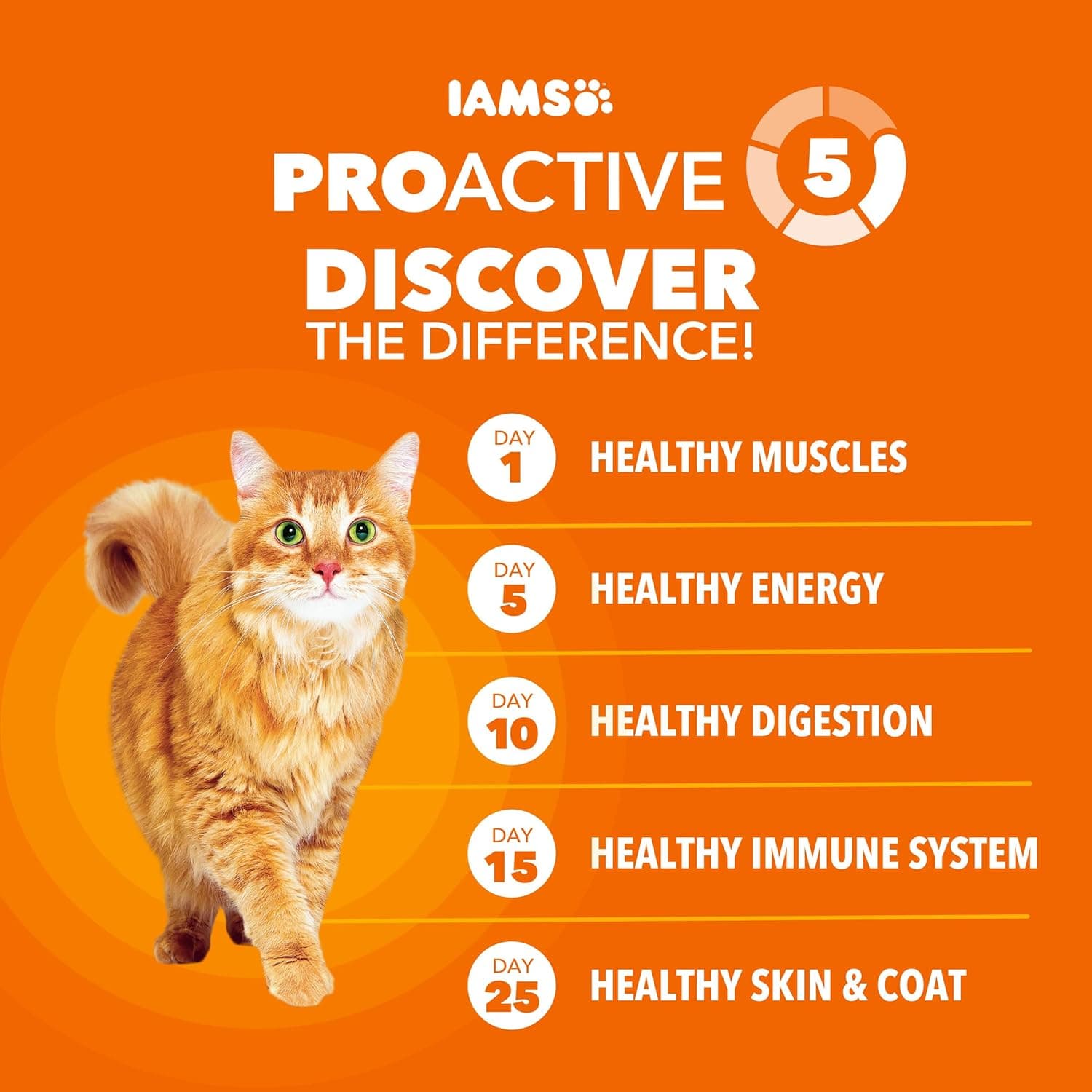 IAMS Proactive Health Adult Healthy Dry Cat Food with Chicken, 22 lb. Bag Adult Chicken 22 Pound (Pack of 1) - Image 3