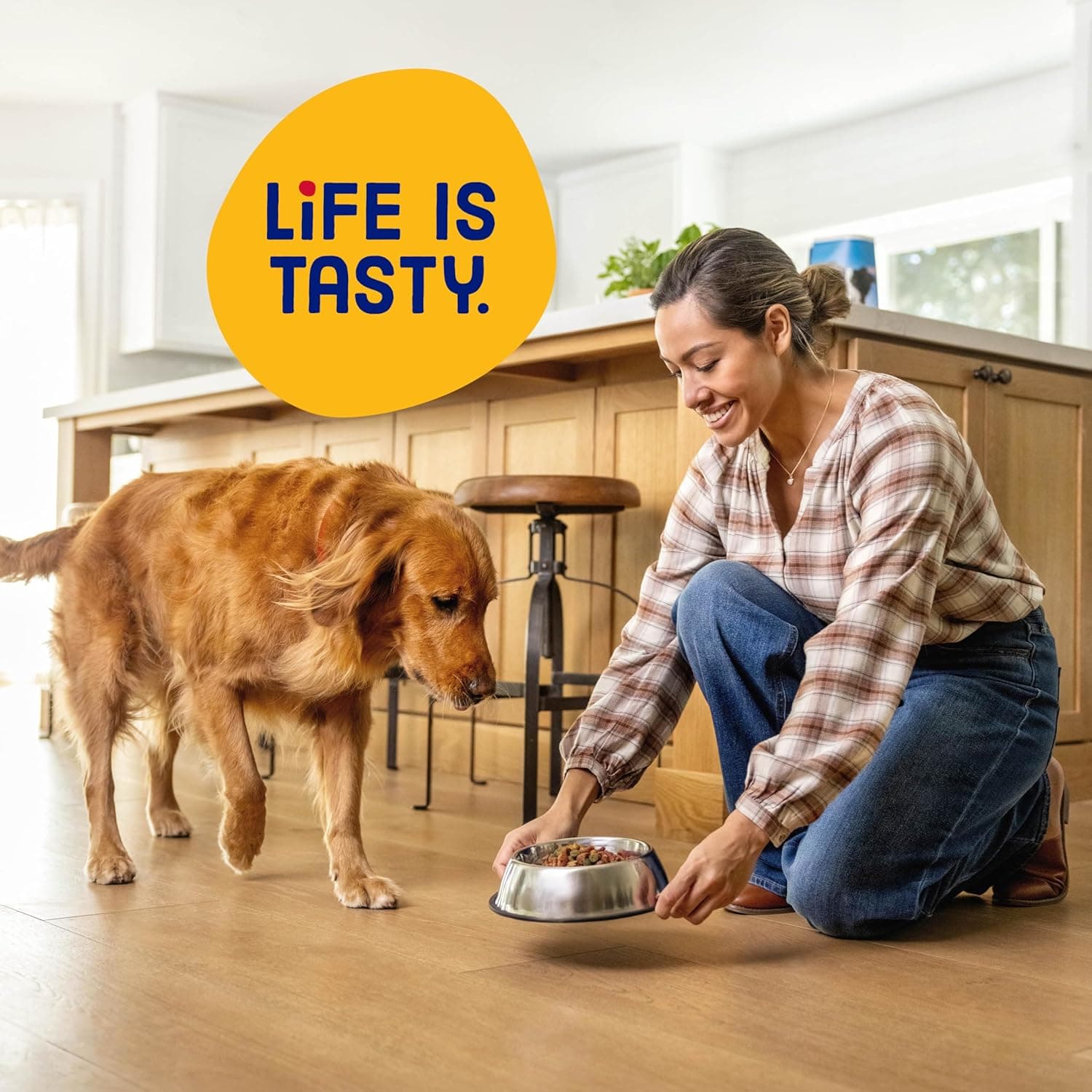 Kibbles 'n Bits Original 美味牛肉和鸡肉口味干狗粮，31磅袋装 美味牛肉和鸡肉 31磅（1包） - Image 7