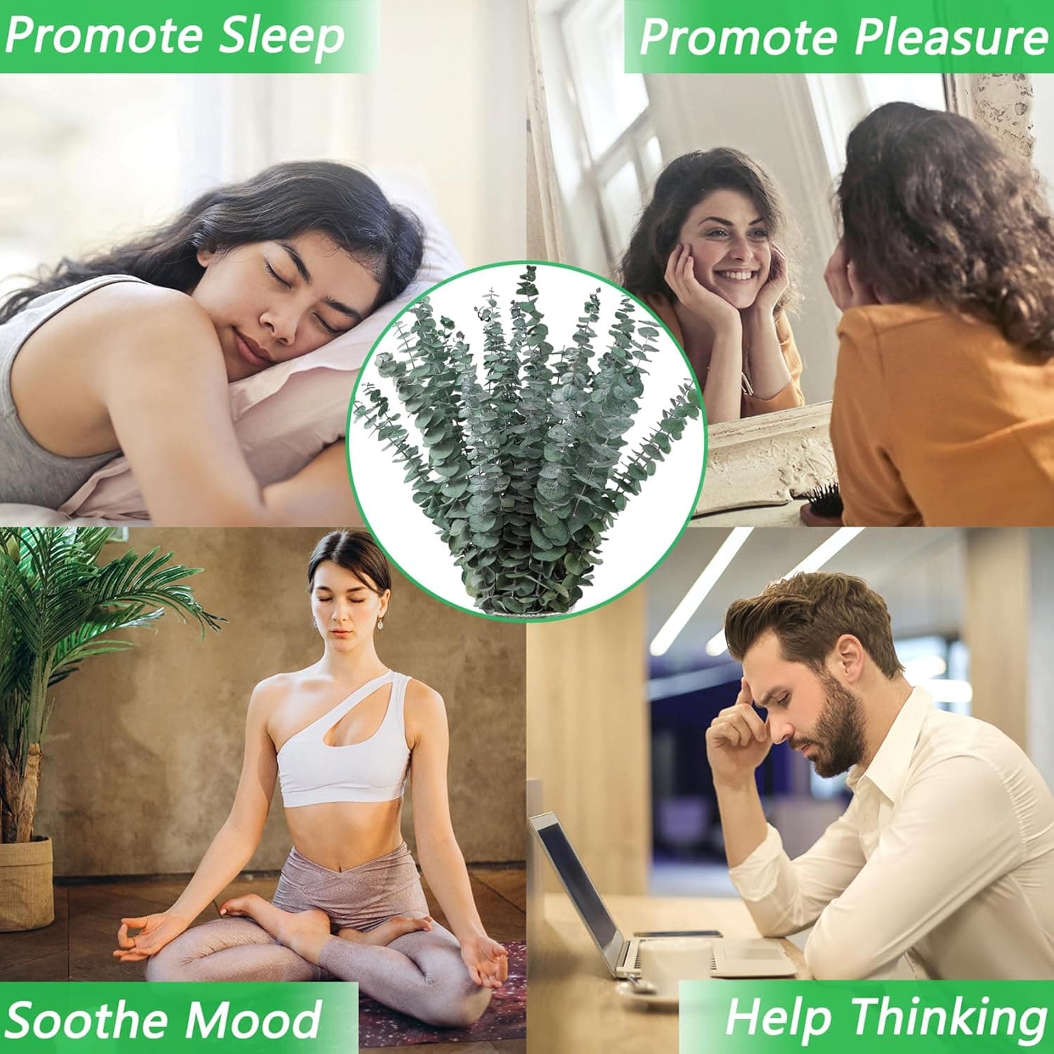 10 Pcs Dried Eucalyptus Stems 17" Real Eucalyptus for Shower Hanging 100% Made from Fresh Leaves, Wedding, Home, Farmhouse, DIY Spring Decor Bathroom Decor Home Decor - Image 6