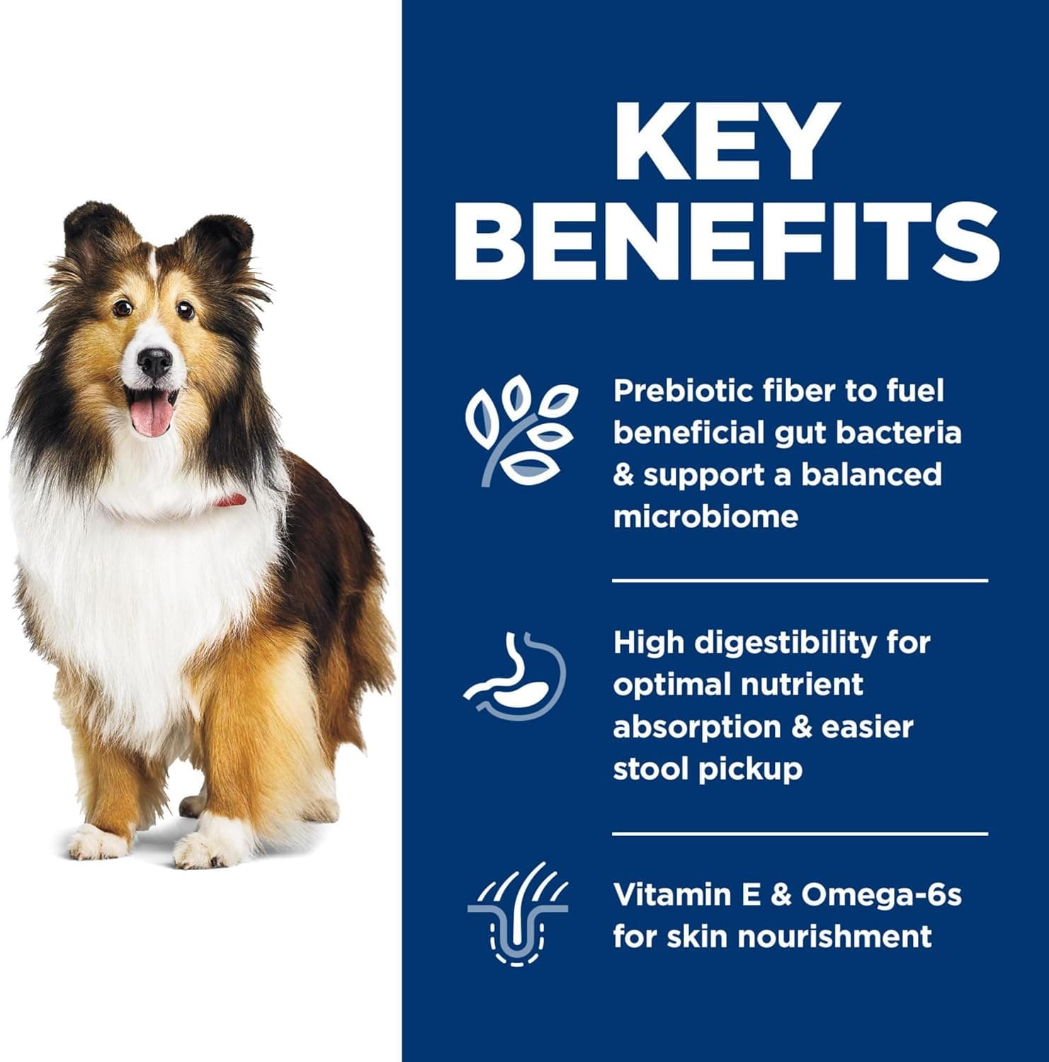 Hill's Science Diet 敏感胃肠与皮肤，成人 1-6 岁，胃肠与皮肤敏感支持，干狗粮，鸡肉配方，30磅 - Image 5