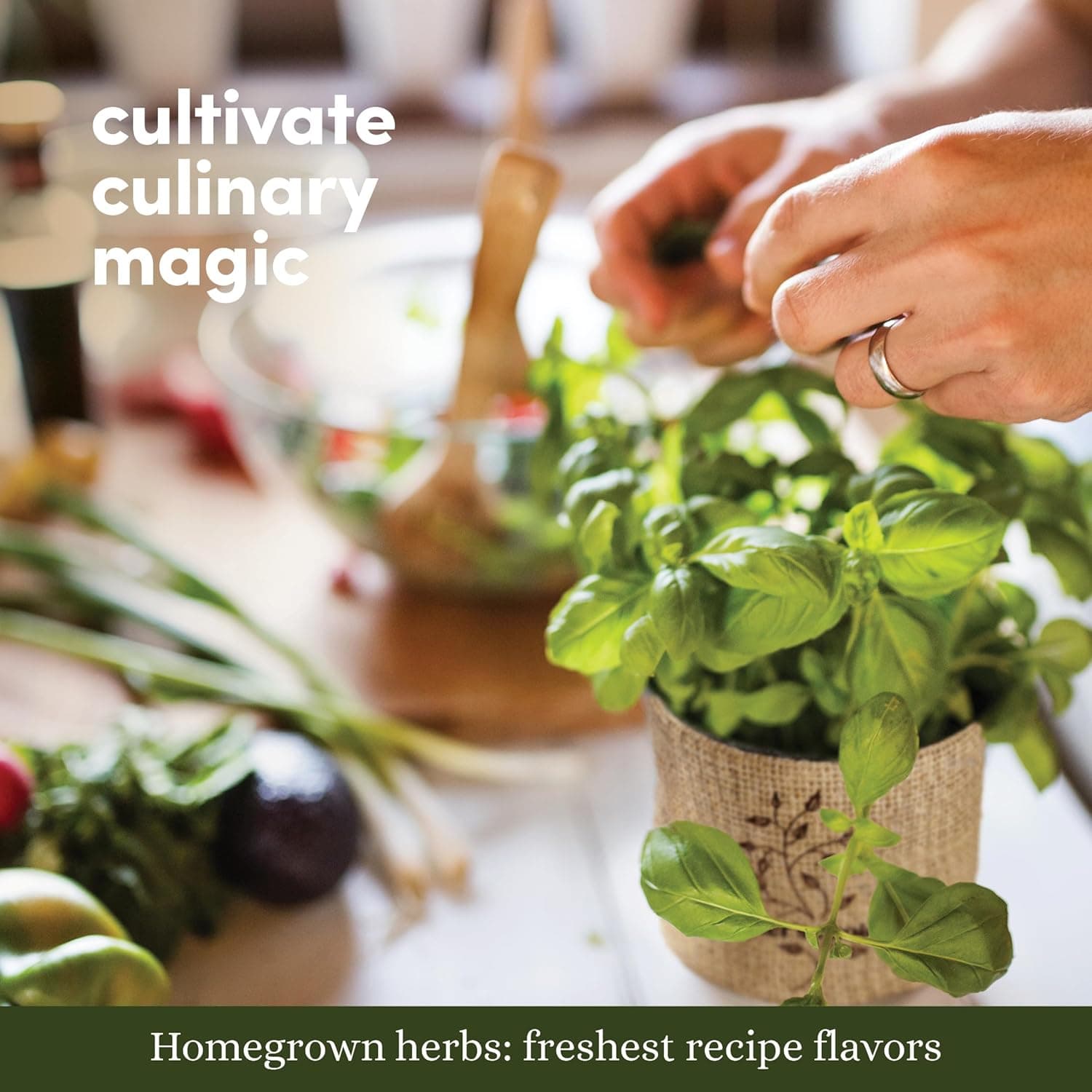 Planters' Choice 9 Herb Indoor Window Garden Kit - House Plants Seeds - Best Unique Christmas Gift Ideas for Women, Mom, Friend, Her, Birthday, Housewarming, Mother - New Home Kitchen Gifts - Image 8