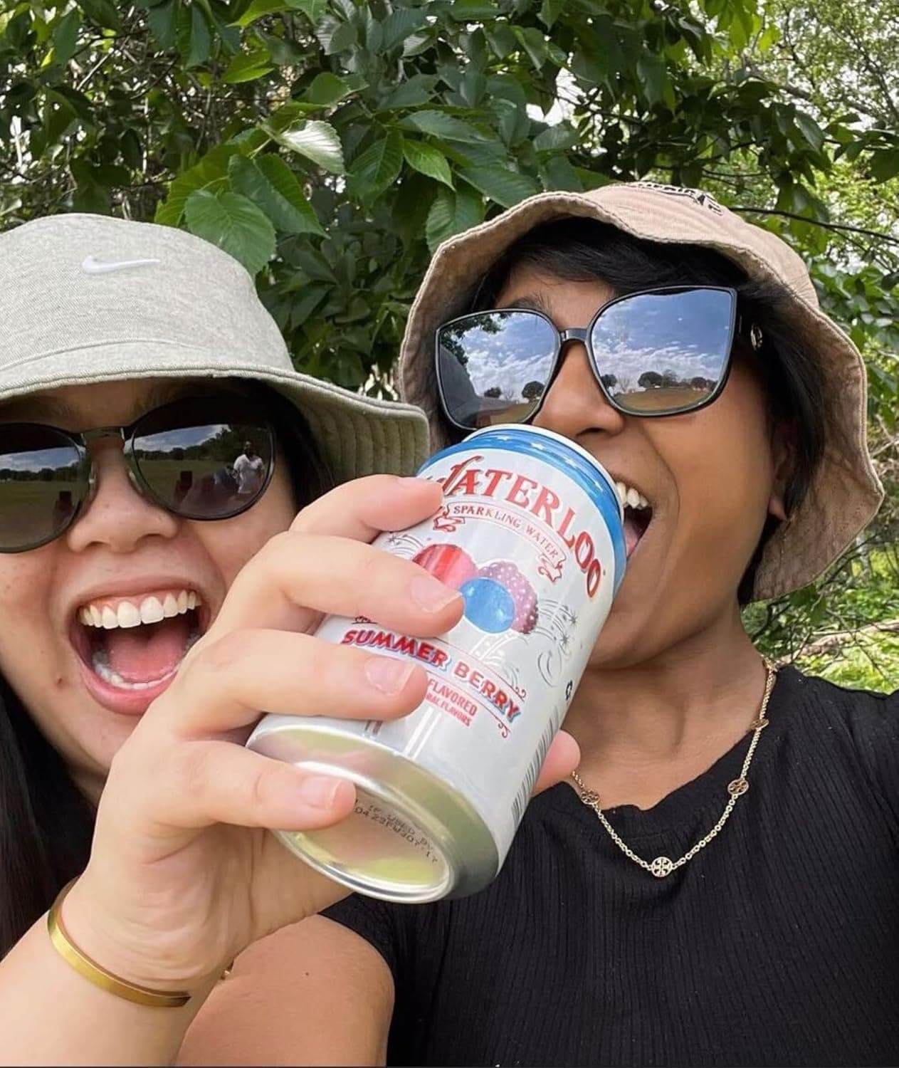 Waterloo Sparkling Water, Summer Berry Naturally Flavored, 12 Fl Oz Cans (Pack of 12) – Zero Calories and Zero Sugar or Sweeteners - Image 6