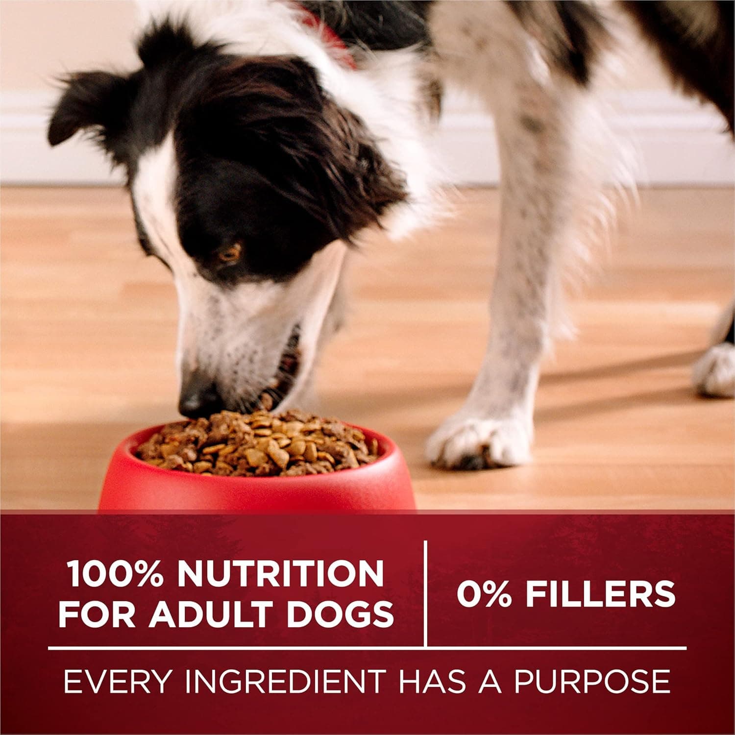 Purina ONE True Instinct With A Blend Of Real Turkey and Venison Dry Dog Food - 7.4 lb. Bag Turkey & Venison 7.4 Pound (Pack of 1) - Image 10