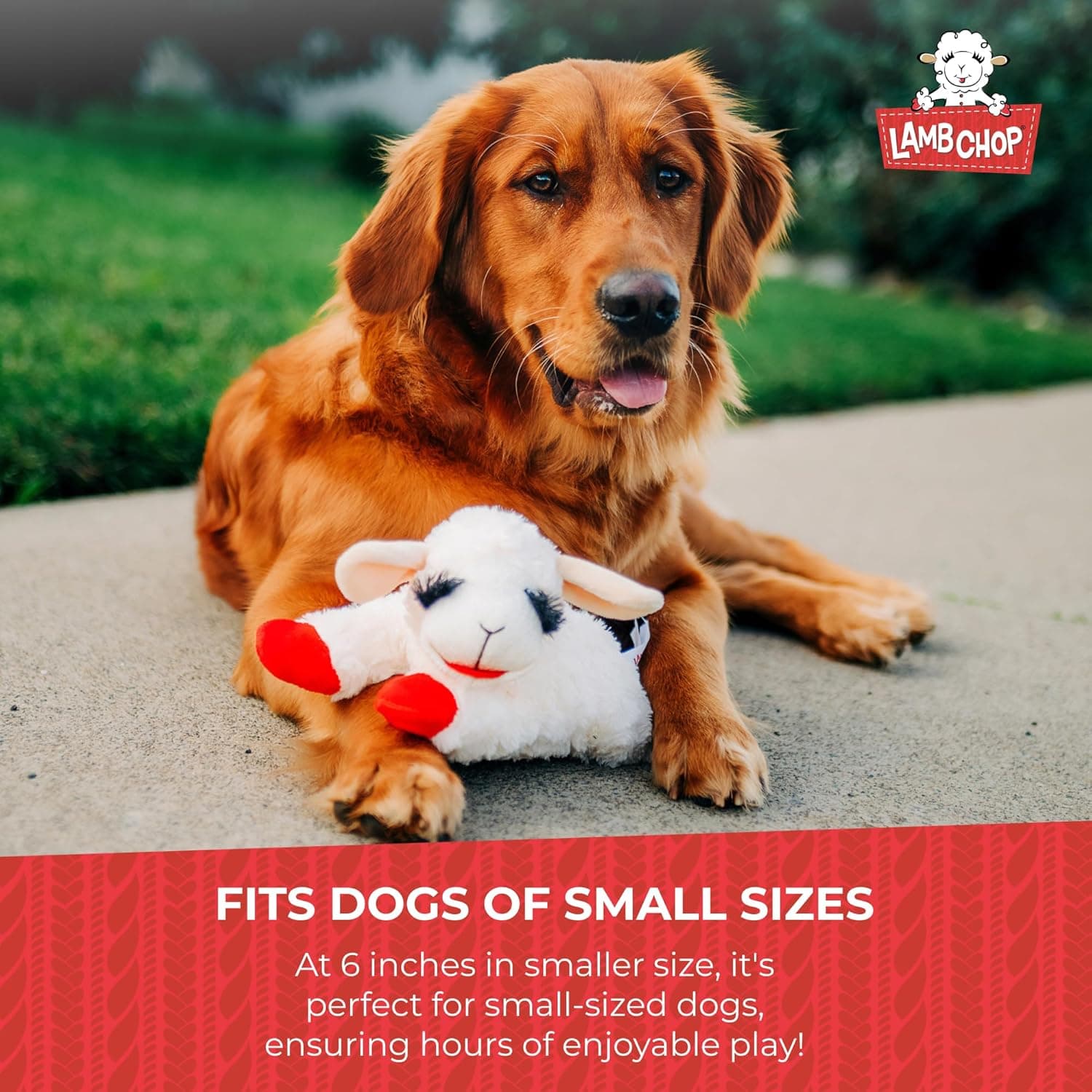 Multipet Lamb Chop Dog Plush Toy - Squeaky Toy for All Dogs - Extra Soft Plush - Stuffed Animal Dog Toy for Cuddling & Playing - Cute Pet Toy (6", Cream) White 6" - Image 9