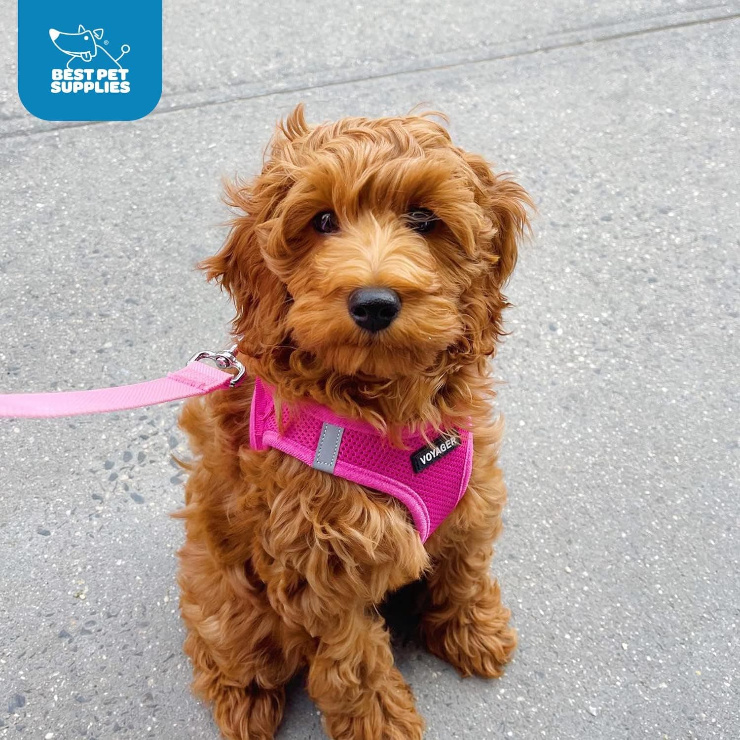 Best Pet Supplies Voyager Step-in Air Harness - All Weather Mesh, Reflective, No Pull Harness for Dogs, Cats - Secure with Hook & Loop Fastener, Buckle, Double D-Rings - Fuchsia, M M (Chest: 16 - 18") Harness (Fuchsia) - Image 9