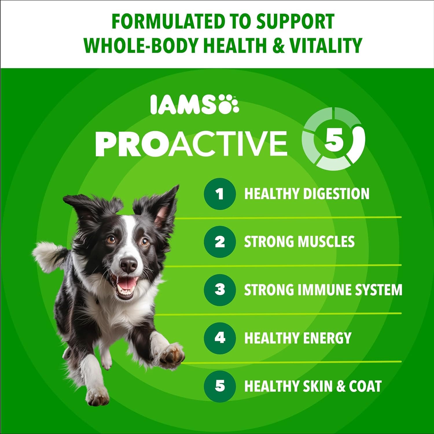 IAMS Proactive Health Adult Minichunks Comida Seca para Perros Pollo y Granos Enteros, Bolsa de 30 lb. Pollo 30 Libras (Paquete de 1) - Image 3