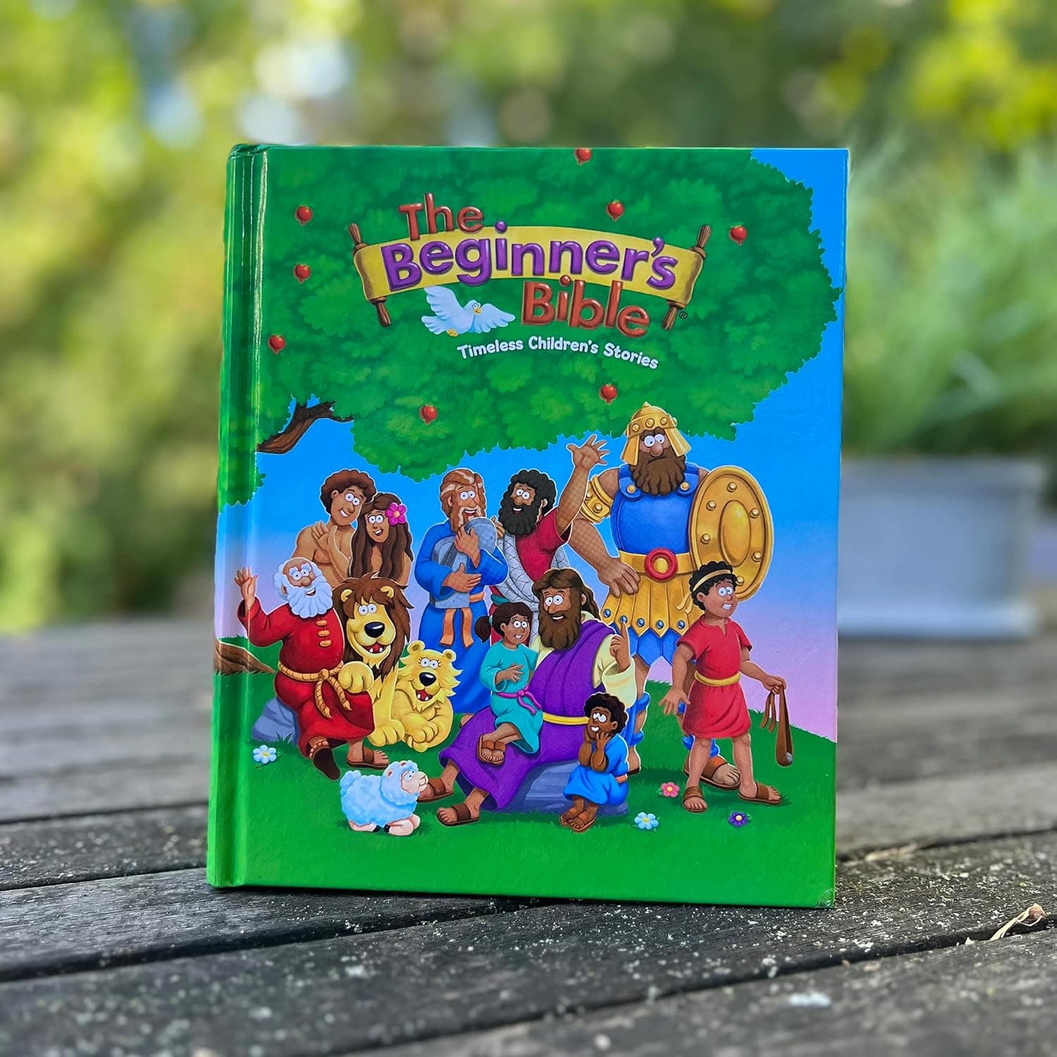 The Beginner's Bible: Timeless Children's Stories - Image 18