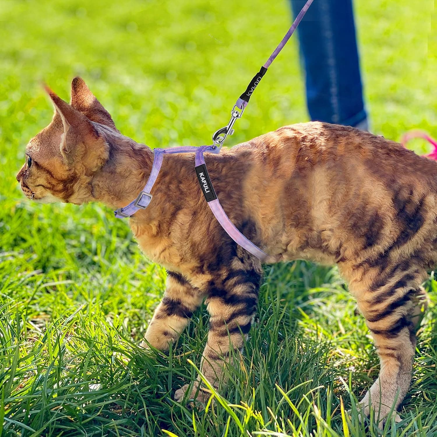 TIESOME Cat Harness and Leash Set, Adjustable Gradient Kitten Harness Escape Proof Harness with Leash for Kitty Outdoor Walking (Gradient Purple) - Image 8
