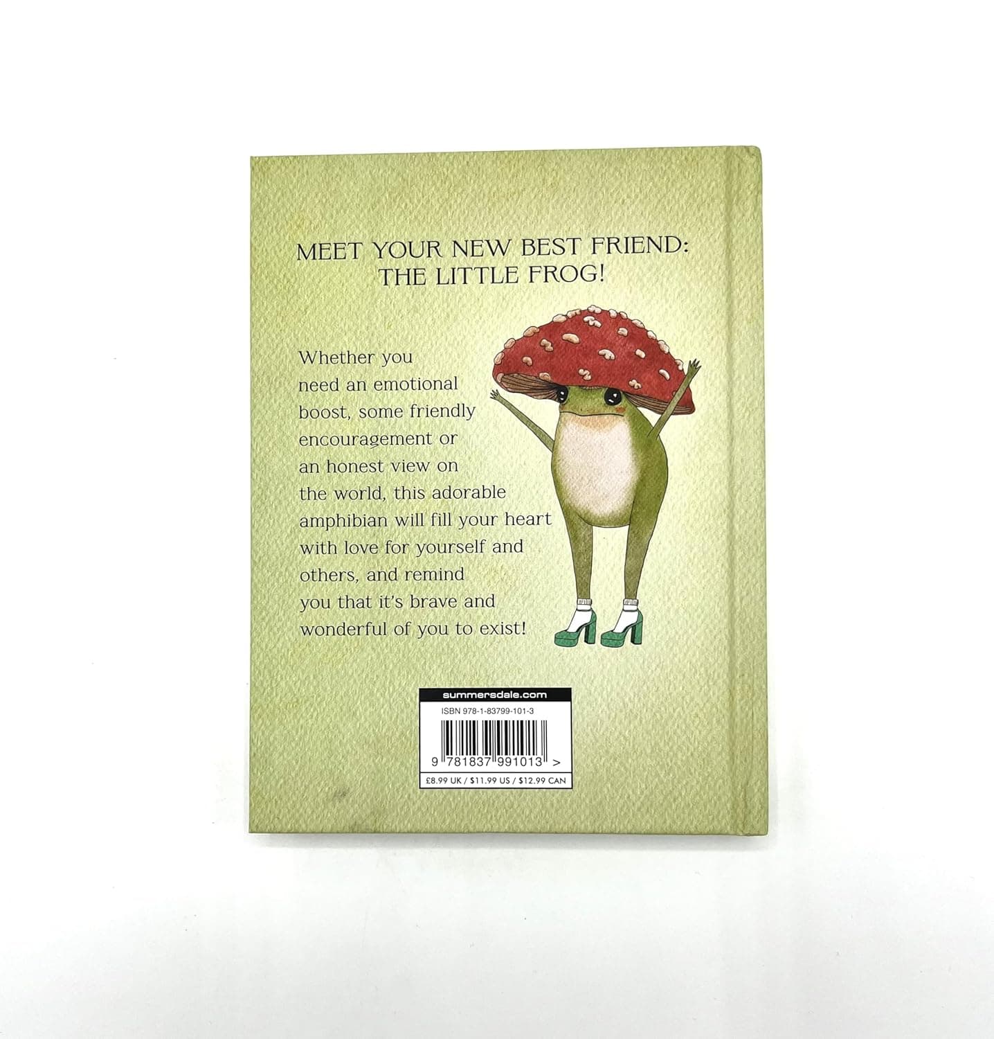 The Little Frog's Guide to Self-Care: Affirmations, Self-Love and Life Lessons According to the Internet's Beloved Mushroom Frog - Image 10