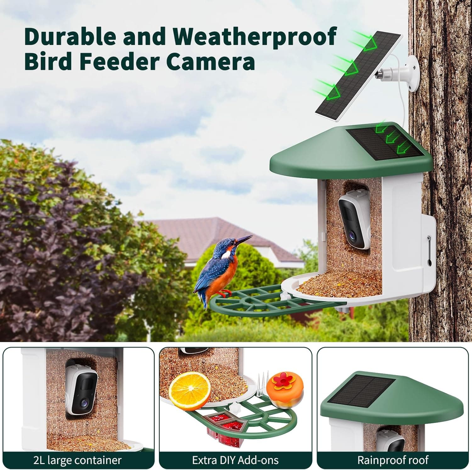 Bird Feeder with Camera with AI Identify Birds Species Solar Panel, Smart Bird House with Cam, 2K Live View, Instant Arrival Alerts Green - Image 4
