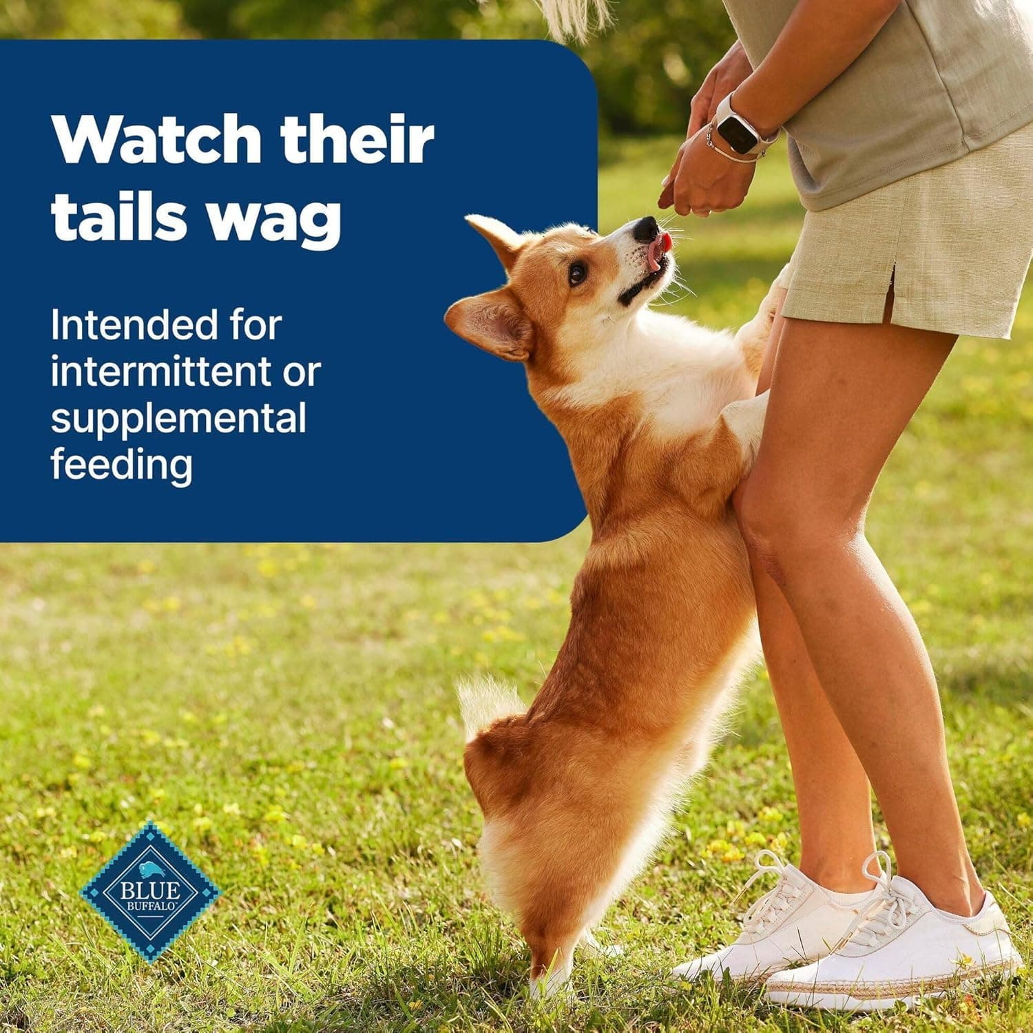 Blue Buffalo Nudges Grillers Galletas Naturales para Perros con Carne de Res Real de EE. UU., Hechas en EE. UU., Bistec, Bolsa de 36 oz (Paquete de 1) - Image 9