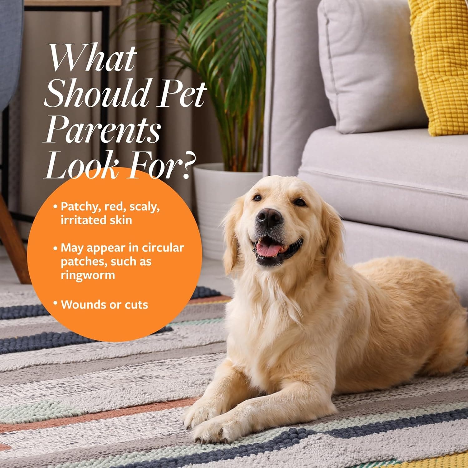 兽医配方临床护理抗菌和抗真菌药用洗发水，适用于狗和猫，16盎司 - 有助于缓解头皮屑 - Image 3