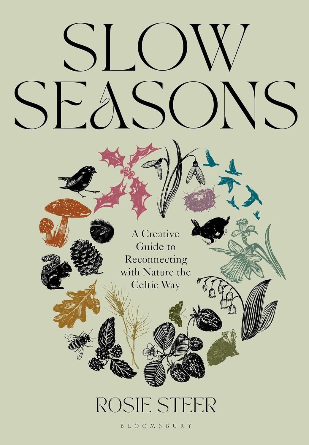 Slow Seasons: A Creative Guide to Reconnecting with Nature the Celtic Way: Steer, Rosie: 9781526662729: Amazon.com: Books