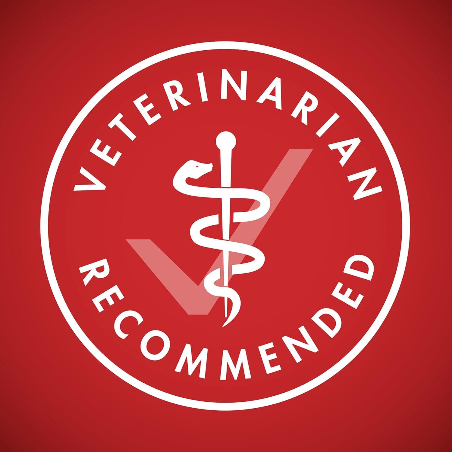 Purina ONE Dry Dog Food Lamb and Rice Formula - 31.1 lb. Bag Lamb & Rice 31.1 Pound (Pack of 1) - Image 10