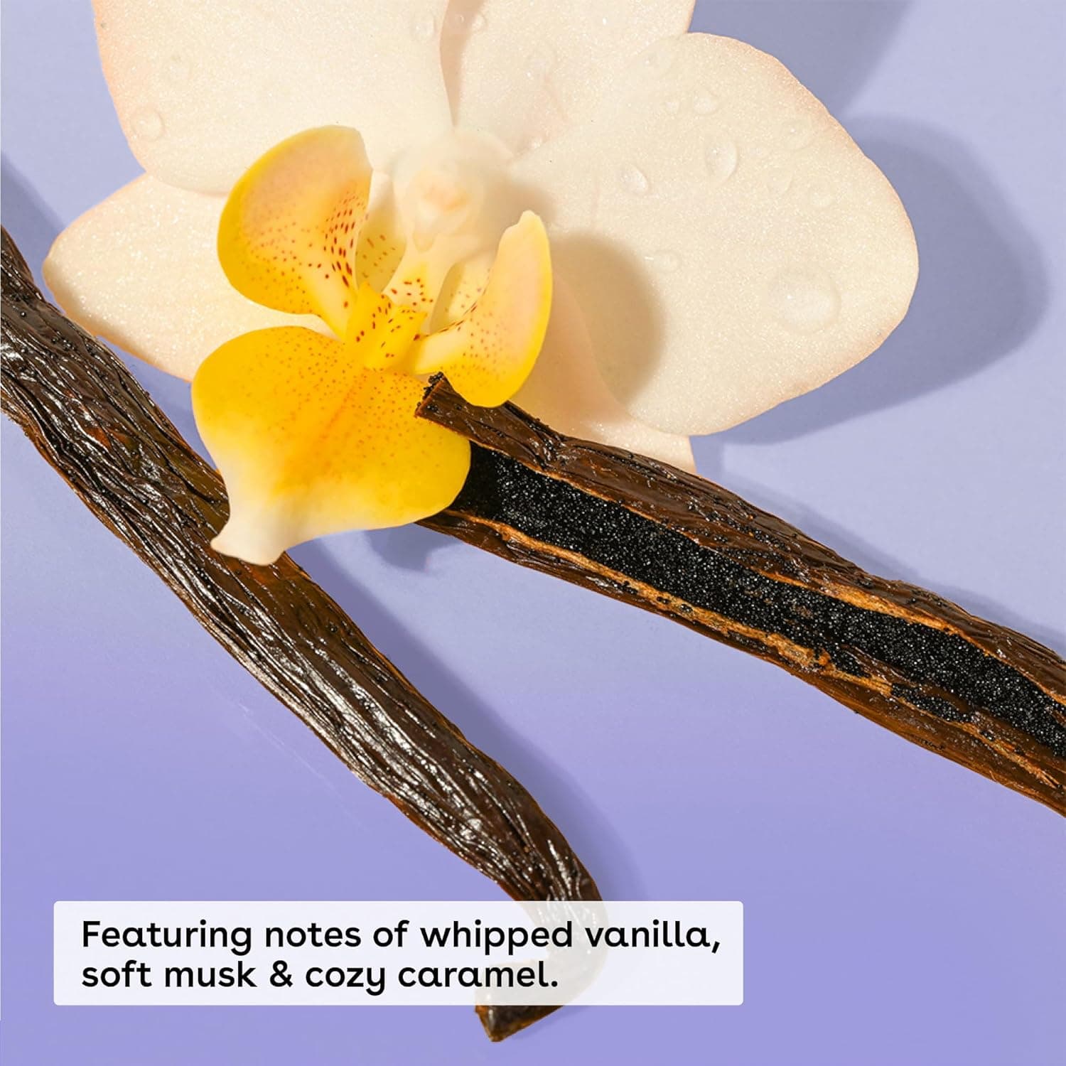 eos Cashmere Body Oil, Vanilla Cashmere, 24 Hour Moisture, Plant-Based Squalane to Soothe, Soften And Smooth Dry Skin, Body Oil, 6 fl oz - Image 3