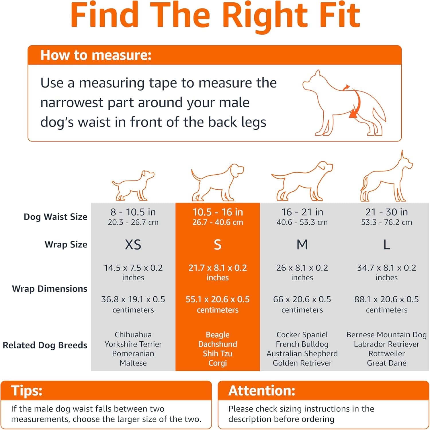 Amazon Basics Absorbent, Leakproof Male Dog Wrap Disposable Diapers, Small, Pack of 50, White Small (Pack of 50) Pack of 50 - Image 4