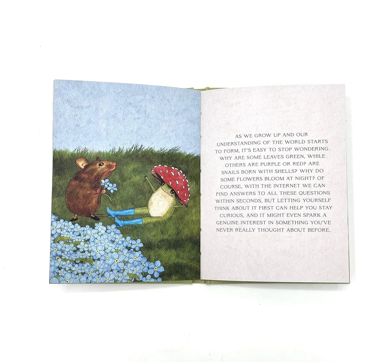 The Little Frog's Guide to Self-Care: Affirmations, Self-Love and Life Lessons According to the Internet's Beloved Mushroom Frog - Image 9