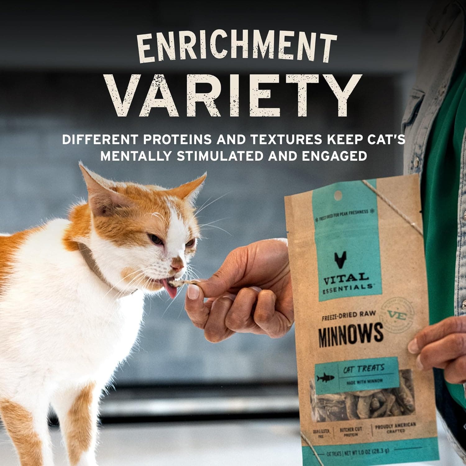 Vital Essentials Minnows Cat Treats, 0.5 oz | Freeze-Dried Raw | Single Ingredient | Grain Free, Gluten Free, Filler Free Minnows 0.5 Ounce (Pack of 1) - Image 7