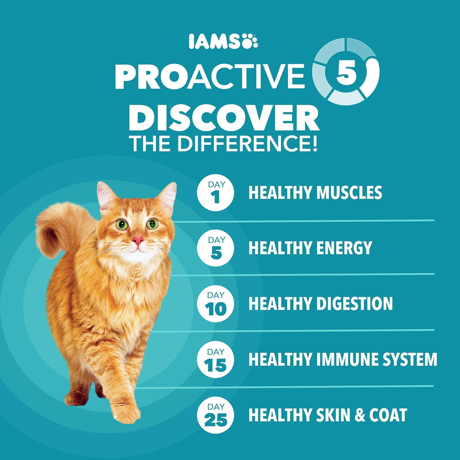 IAMS Proactive Health Control de Peso Interior y Cuidado de Bolas de Pelo Comida Seca para Gatos Adultos, Receta de Pollo y Pavo, Bolsa de 7 lb. Pollo y Pavo 7 Libras (Paquete de 1) - Image 5