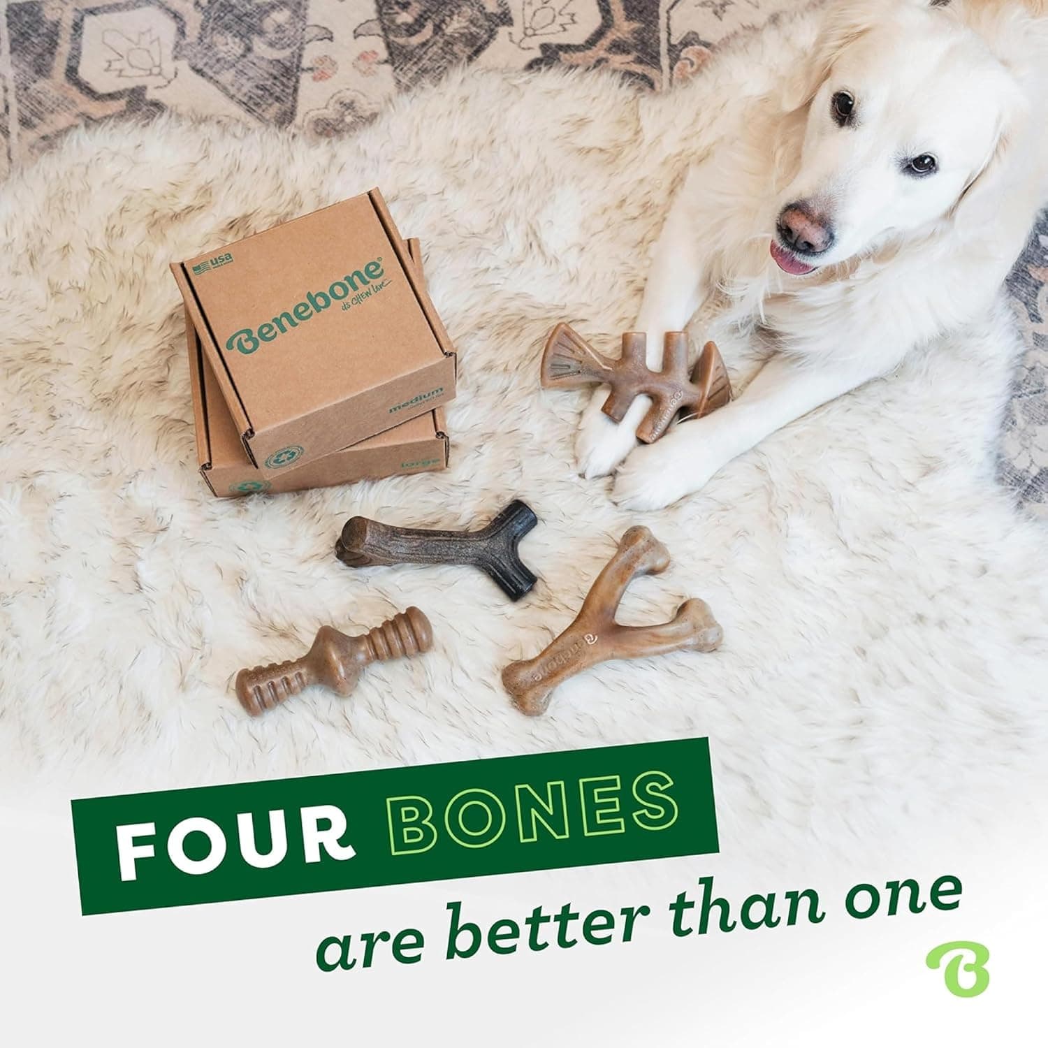 Benebone Large 4-Pack Dog Toys for Aggressive Chewers – Durable Dog Bones, Made in USA – Dog Toys for Large Dogs Under 90 lbs Large 4 Pack - Image 5