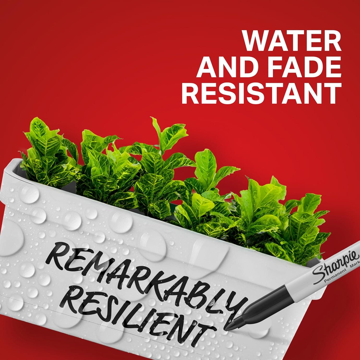 Sharpie Permanent Markers Variety Pack, Includes Chisel, Fine, and Ultra-Fine Tips, Marker Set, Writing, Coloring, Poster, Office, School Supplies, Black, 6 Count Pen - Image 4