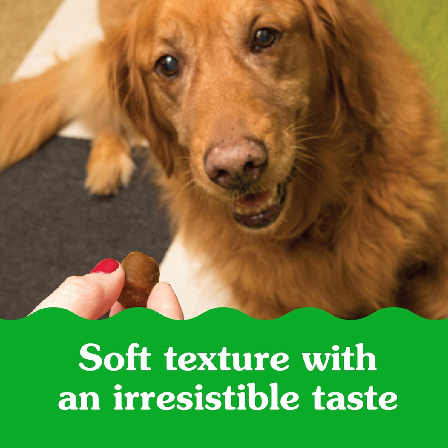 Greenies Pill Pockets for Dogs Large Size, Soft Dog Treats, with Real Peanut Butter, 15.8 oz. Pouch (60 Treats) Peanut Butter 60 Count (Pack of 1) - Image 13