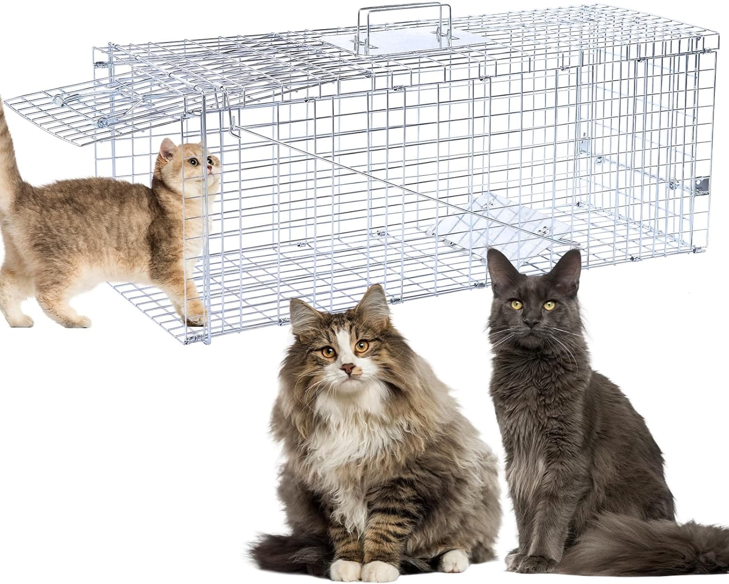 32" Live Animal Traps,Humane Animal Trap for Stray Cats up to 16.5 pounds, Raccoons, Squirrel, Skunk, Mole, Groundhog, Armadillo, Rabbit,Steel Foldable with Pedal Triggers - Image 2