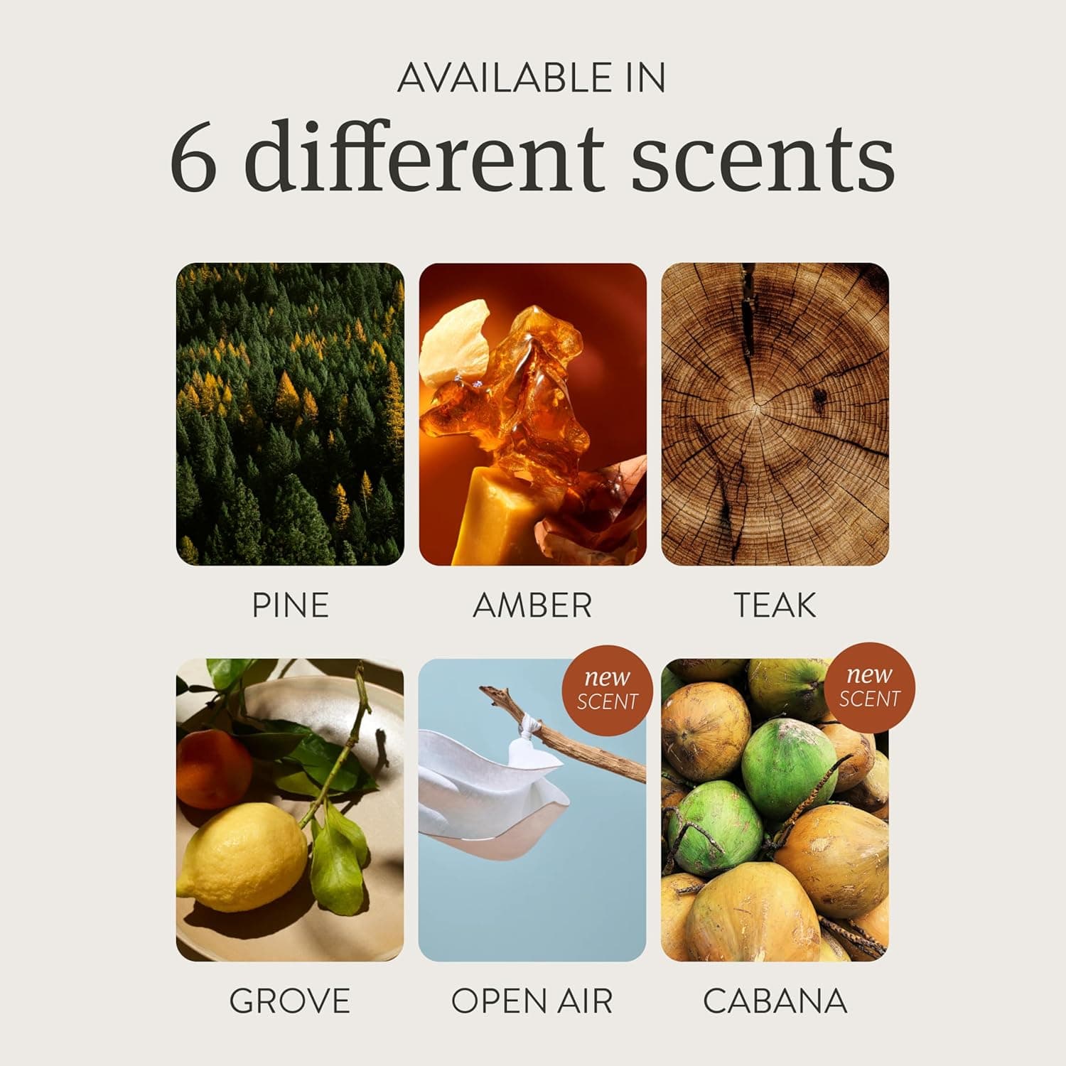 Drift Car Air Freshener - Stone Air Freshener Car Odor Eliminator - Long Lasting Scent - Auto Accessories - Metal Clip - Essential Oils - Clean Ingredients - Amber Scent Starter Kit Amber/Starter Kit - Image 5