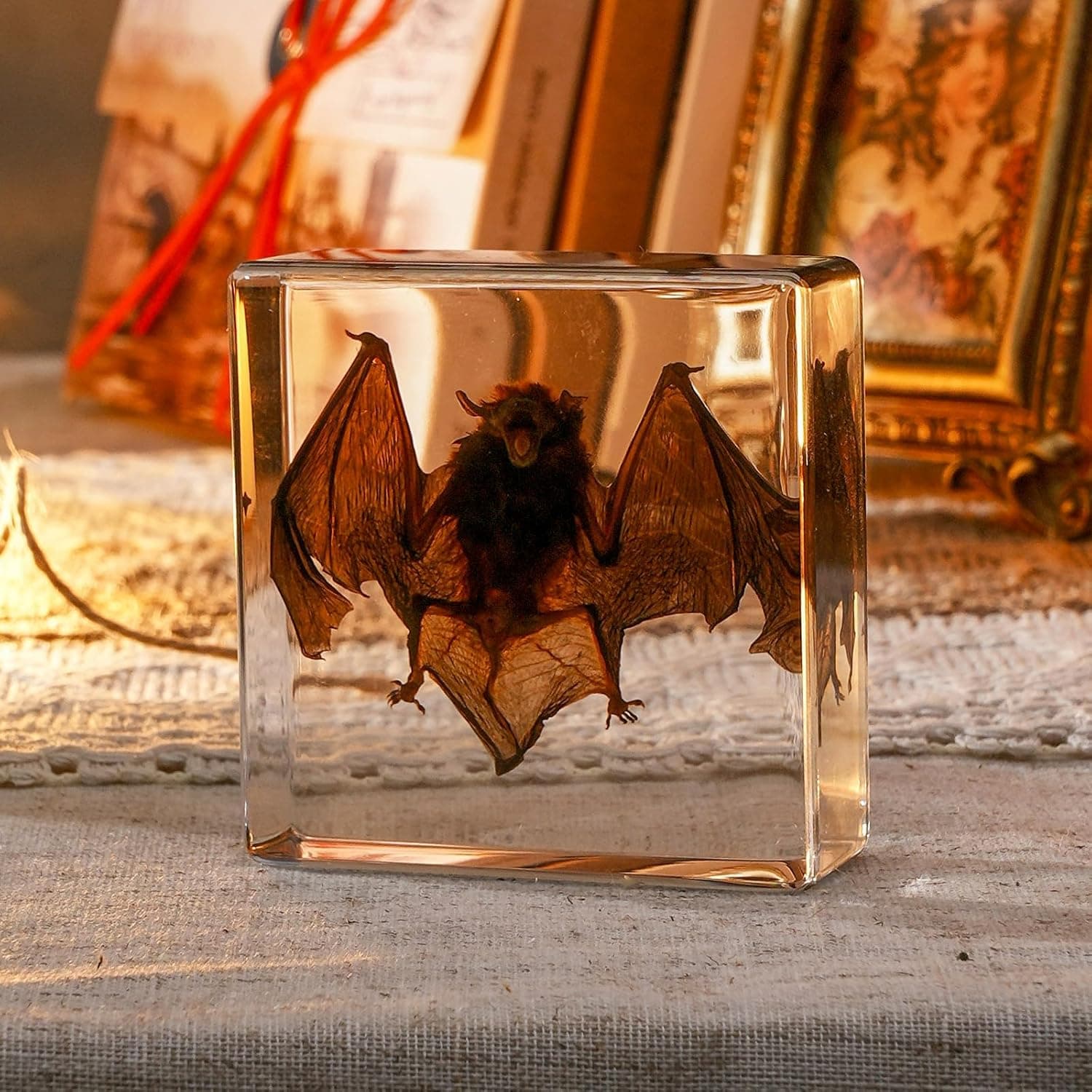 Taxidermy Bat, Real Bat Taxidermy Animals, Oddities Taxidermy, Resin Bat Taxidermy for Science Classroom Specimens Education, Great Gift for Taxidermy, Bat Decor, Oddities, Biology Enthusiasts-3x3x1in transparent resin bat taxidermy - Image 4