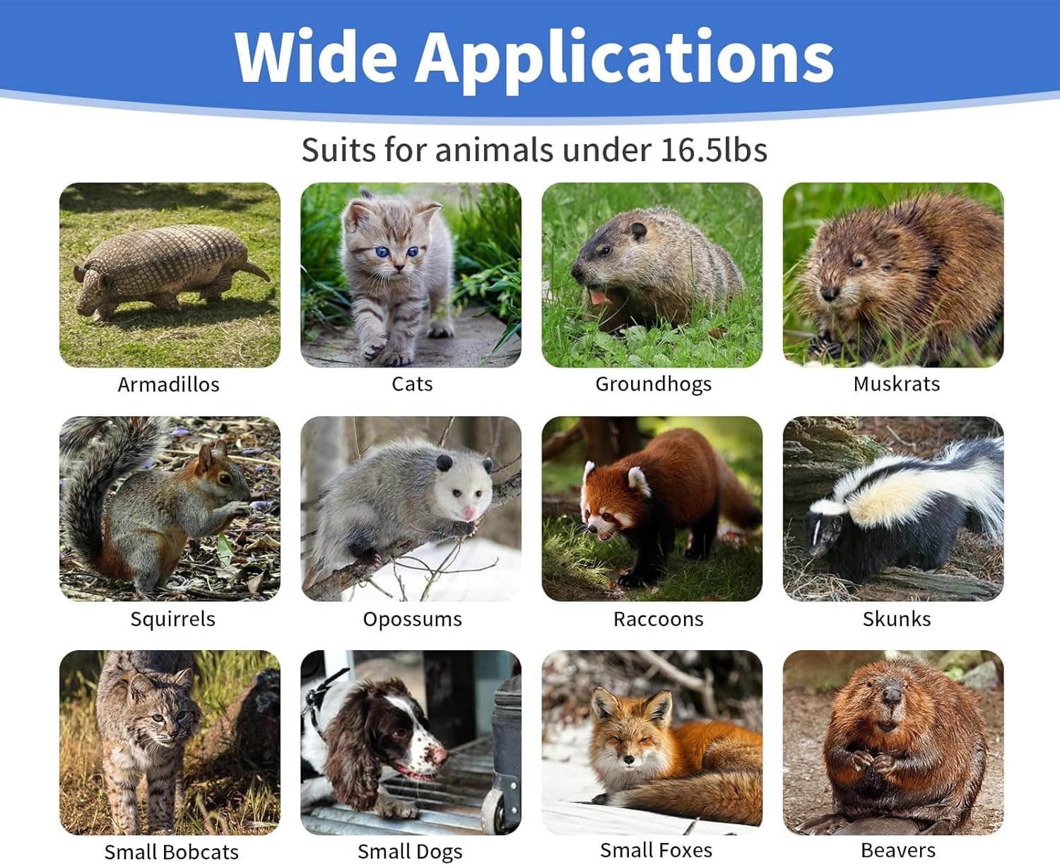 32” Humane Animal Trap, Live Animal Trap Cage for Stray Cats, Raccoons, Squirrels, Rabbits, Moles, Groundhogs, Armadillos up to 16.5 lbs, Galvanized Rustproof Live Animal Cage Trap - Image 8