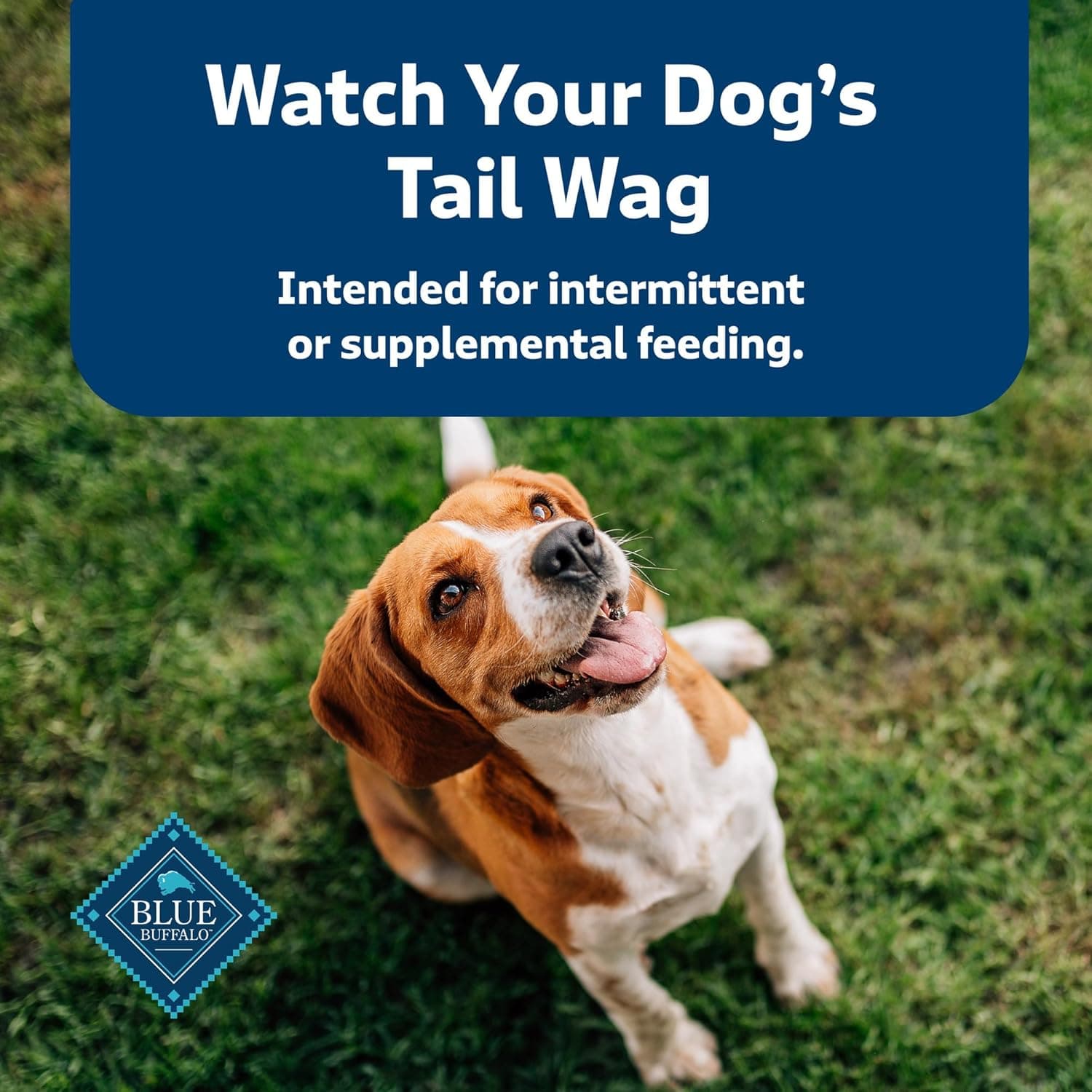 Blue Buffalo Health Bars Crunchy Dog Biscuits, Oven-Baked with Natural Ingredients, Pumpkin & Cinnamon, 16-oz Bag Pumpkin & Cinnamon 1 Pound (Pack of 1) - Image 10