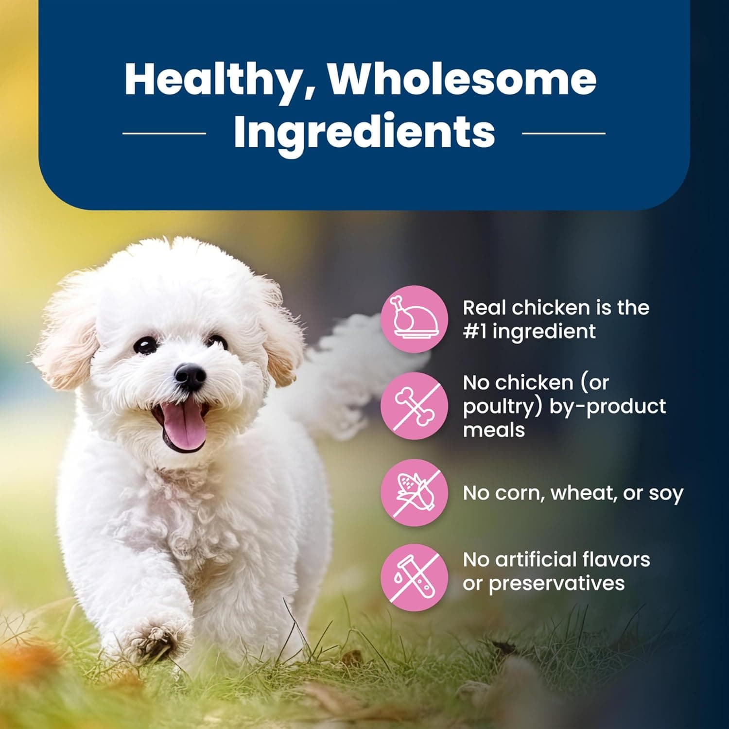 Blue Buffalo Life Protection Formula Adult Small Breed Dry Dog Food, Supports High Energy Needs, Made with Natural Ingredients, Chicken & Brown Rice Recipe, 5-lb. Bag Chicken & Brown Rice 5 Pound (Pack of 1) - Image 6