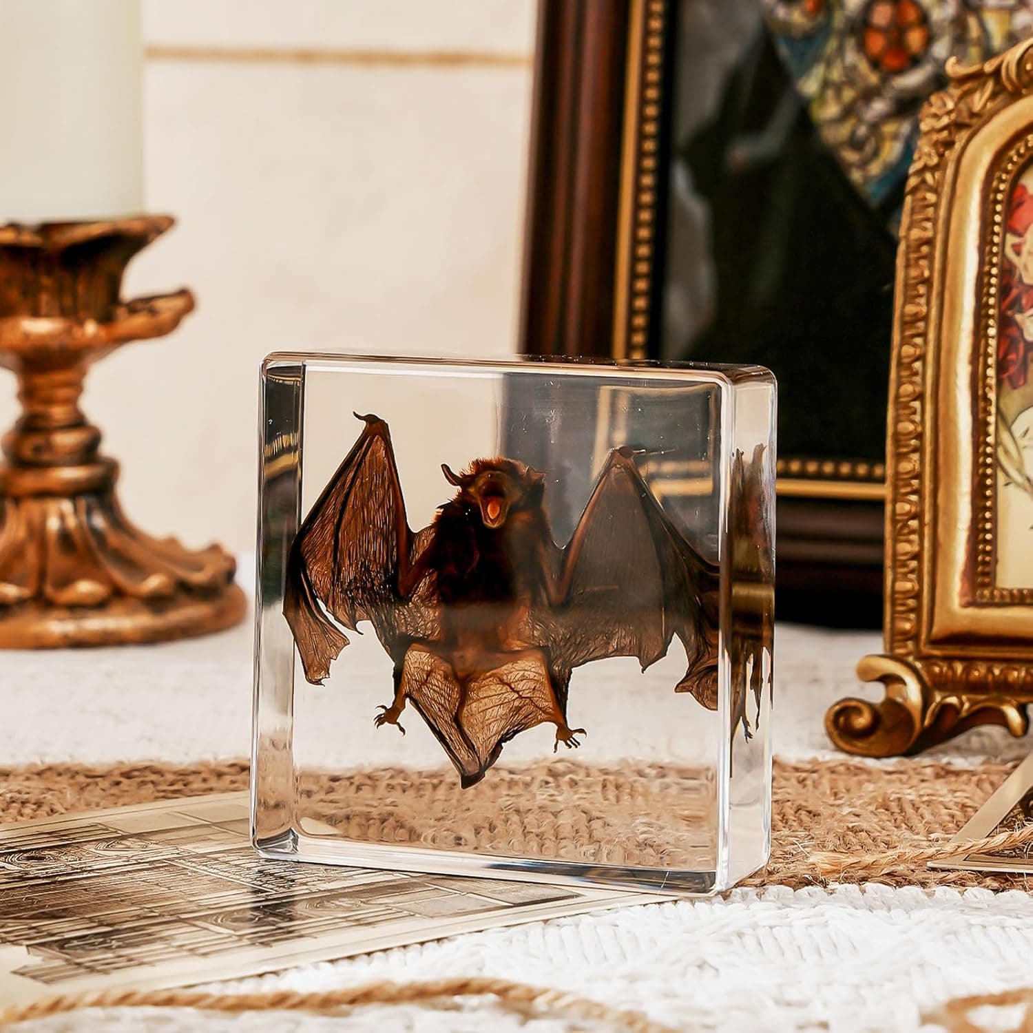 Taxidermy Bat, Real Bat Taxidermy Animals, Oddities Taxidermy, Resin Bat Taxidermy for Science Classroom Specimens Education, Great Gift for Taxidermy, Bat Decor, Oddities, Biology Enthusiasts-3x3x1in transparent resin bat taxidermy - Image 6