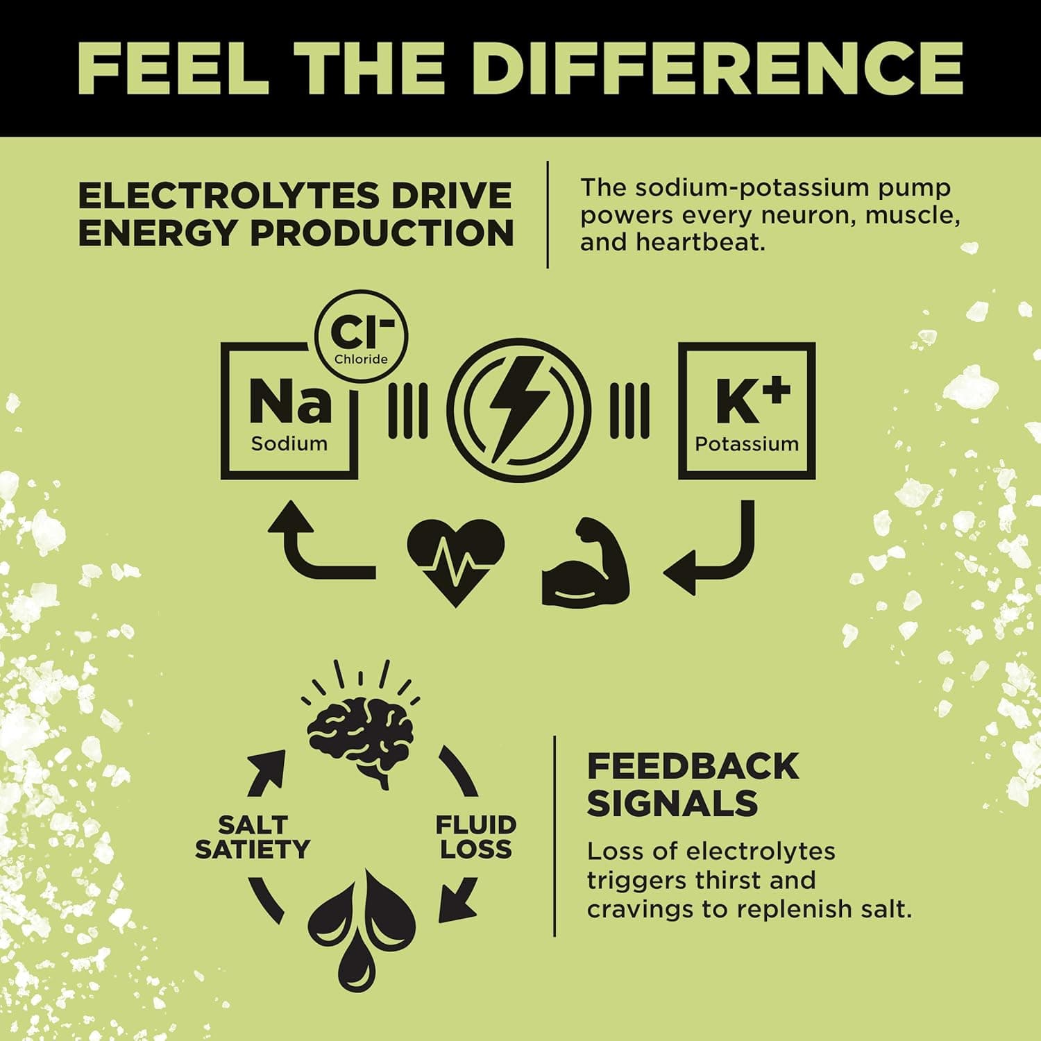 LMNT Zero Sugar Electrolytes - Citrus Salt | Drink Mix | 30-Count Citrus Salt 30 Count - Image 6