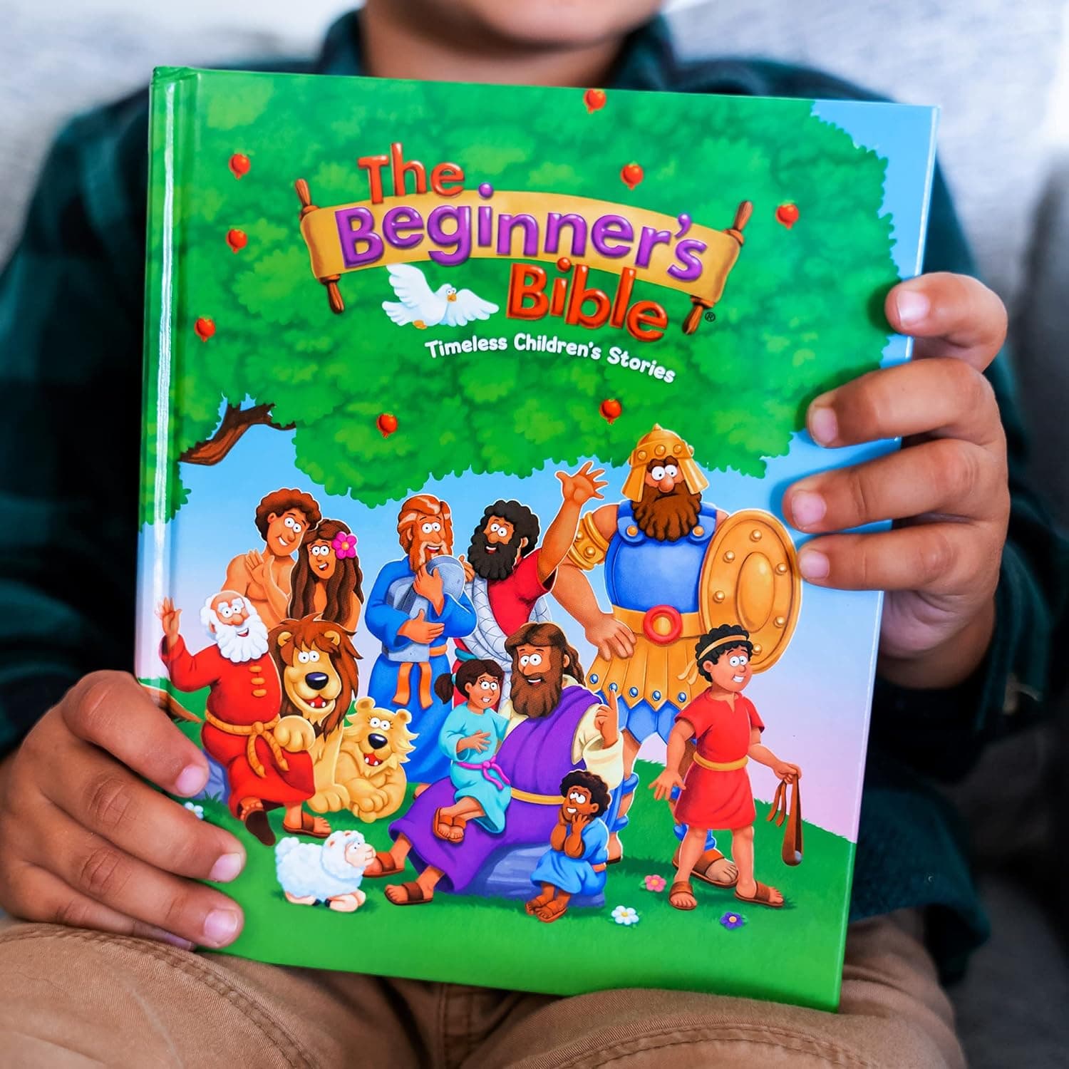 The Beginner's Bible: Timeless Children's Stories - Image 24