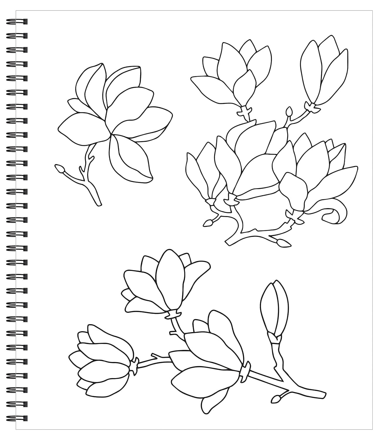Large Print Easy Color & Frame - Calm (Stress Free Coloring Book) - Image 4