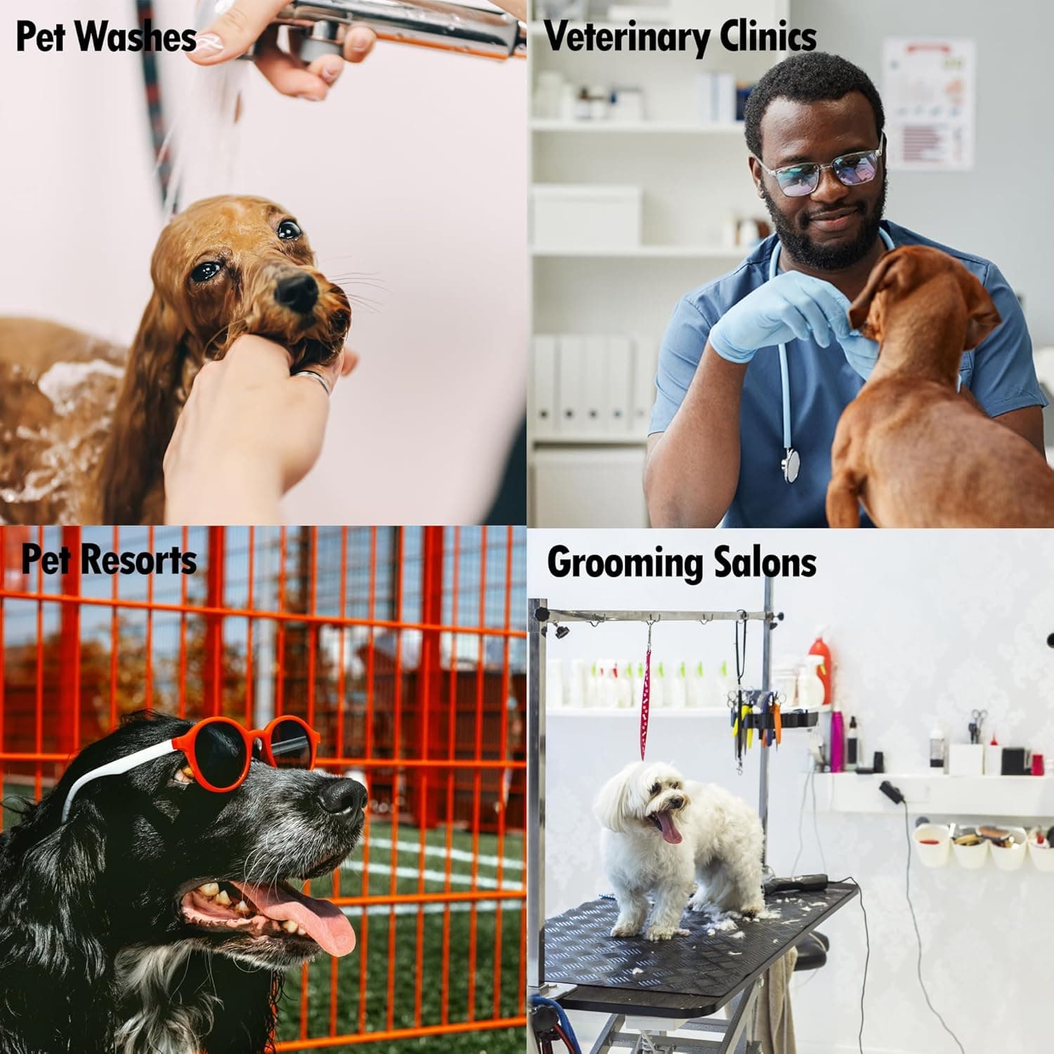 256:1 Disinfectant, 1 Gallon - Liquid Concentrate Disinfectant and Deodorizer, Sanitizer for Veterinary Clinics and Kennels, Effective Against Viruses and Bacteria (Fresh and Clean) - Image 7