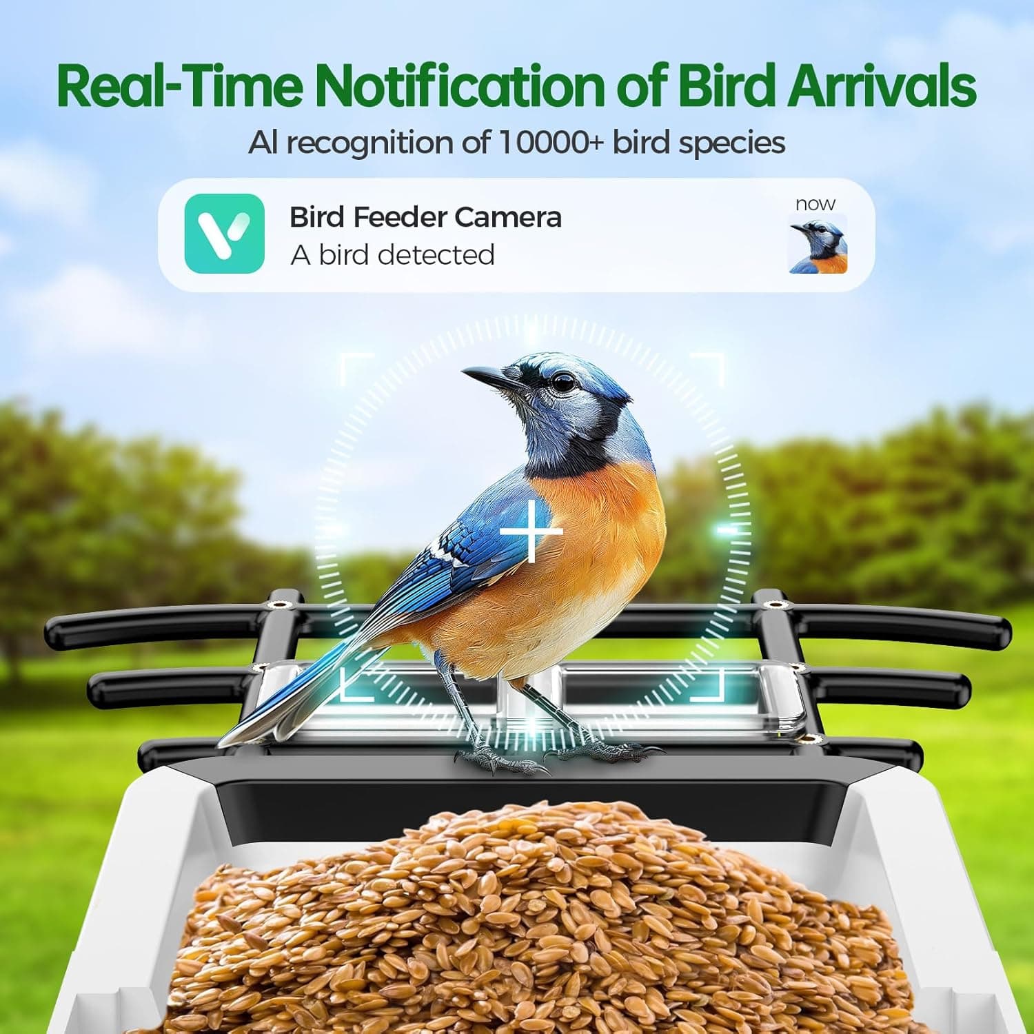 Smart Bird Feeder with Camera - 2K HD Live View, AI Identification & Instant Alerts, Weatherproof for Outdoors, 2.4GHz WiFi Solar Powered Smart Feeder for Bird Lovers - Image 4