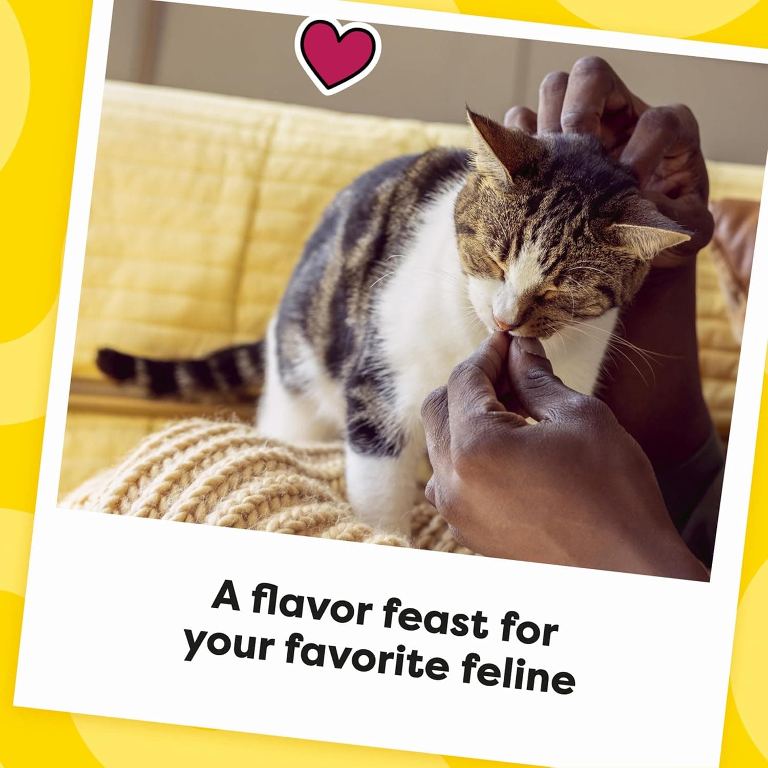 Temptations MixUps Surfer's Delight Flavor Crunchy and Soft Cat Treats, 16 oz. Tub Tuna, Shrimp, Salmon 1 Pound (Pack of 1) - Image 11