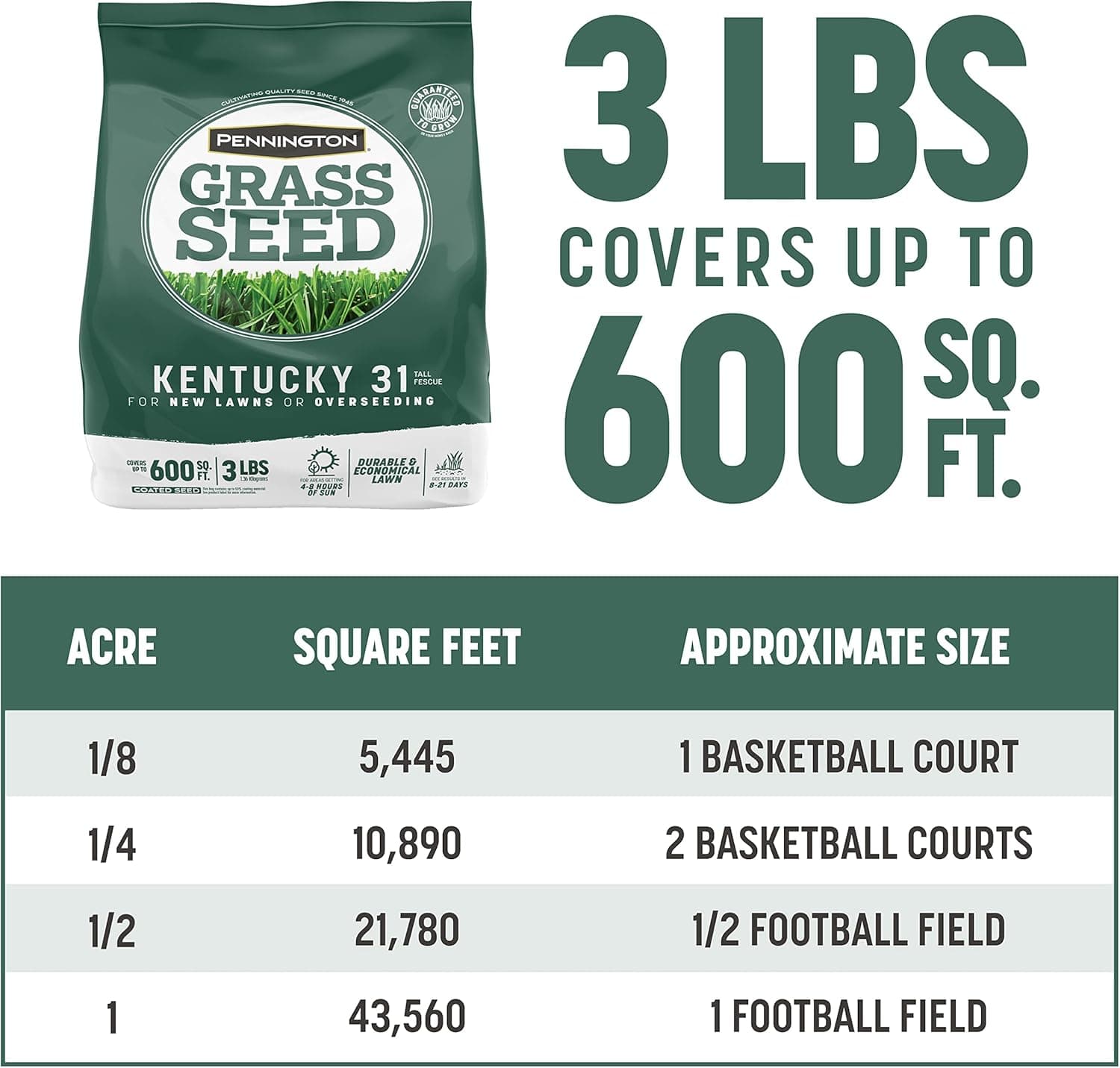 Pennington Kentucky 31 Tall Fescue Penkoted Grass Seed 3 lb - Image 6