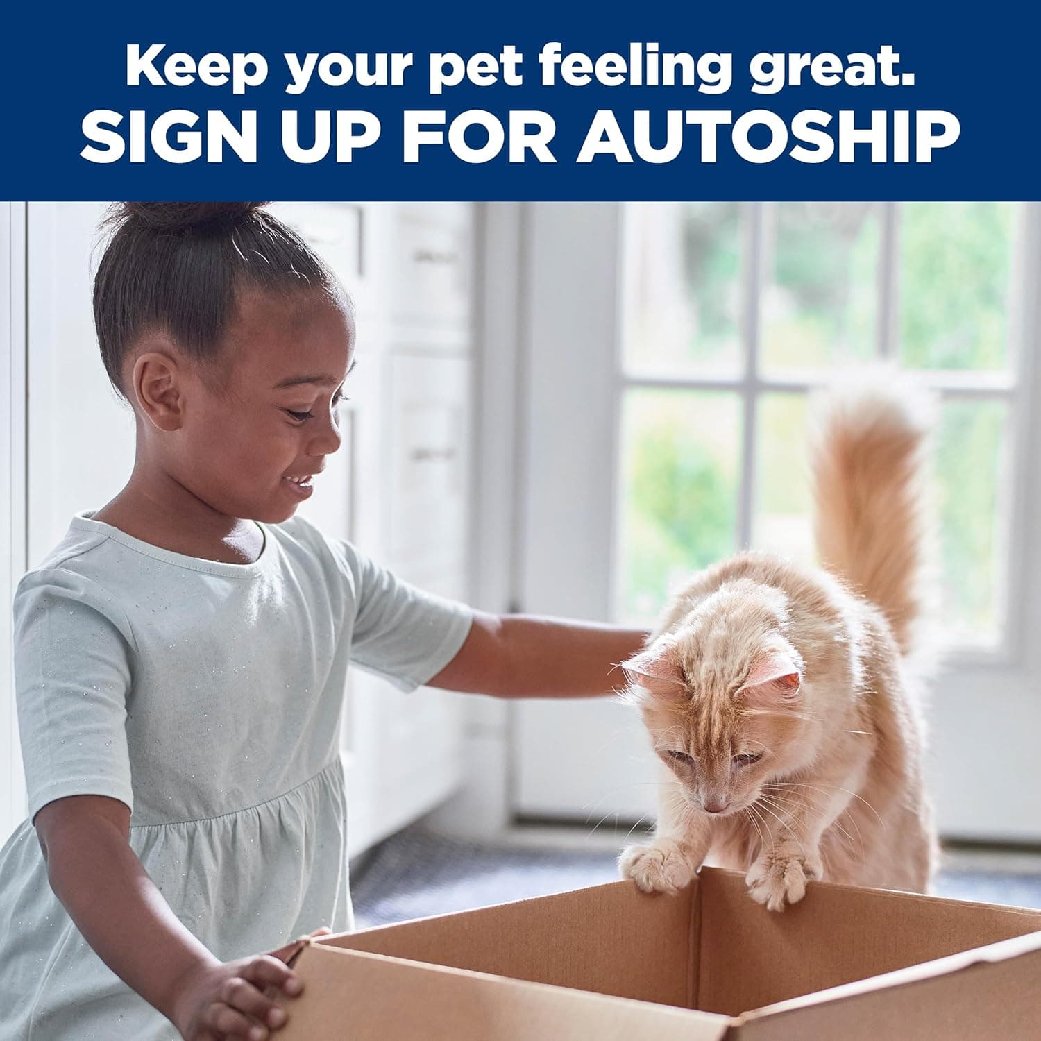 Hill's Science Diet Adult 1-6, Nutrición Premium para Adultos 1-6, Comida Seca para Gatos, Receta de Pollo, Bolsa de 4 lb - Image 13