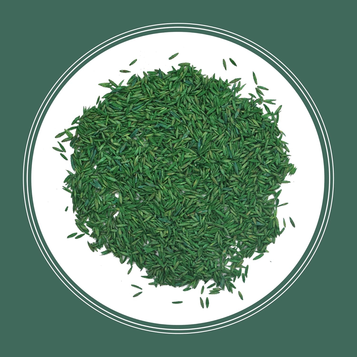 Pennington Kentucky 31 Tall Fescue Penkoted Grass Seed 3 lb - Image 11