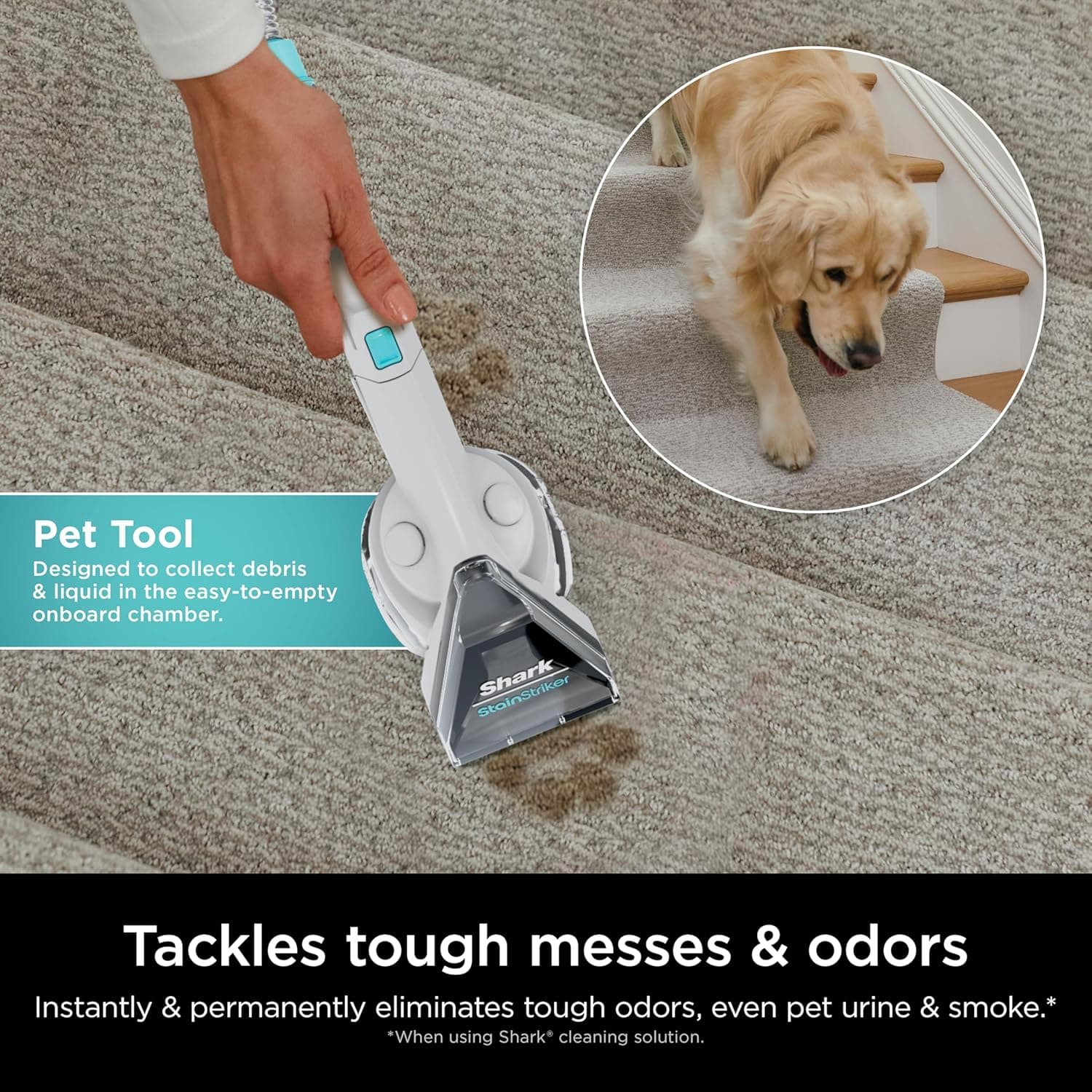 Shark CarpetXpert with StainStriker Upright Carpet, Area Rug & Upholstery Cleaner with Pet Mess Extractor Tool, Perfect for Pets, Carpet Shampooer, 3 Cleaning Tools, Cleaning Solutions, White, EX201 - Image 7