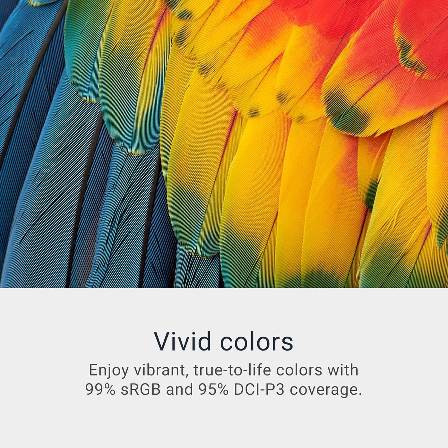 Dell 34 Plus USB-C Curved Monitor - S3425DW - 34-inch (3440 x 1440) up to 120 Hz 21:9 Display, VA Panel, AMD FreeSync Premium, 99% sRGB, 95% DCI-P3, Integrated Speakers, 3000:1 Contrast Ratio 34 Inches S3425DW USB-C - Image 6