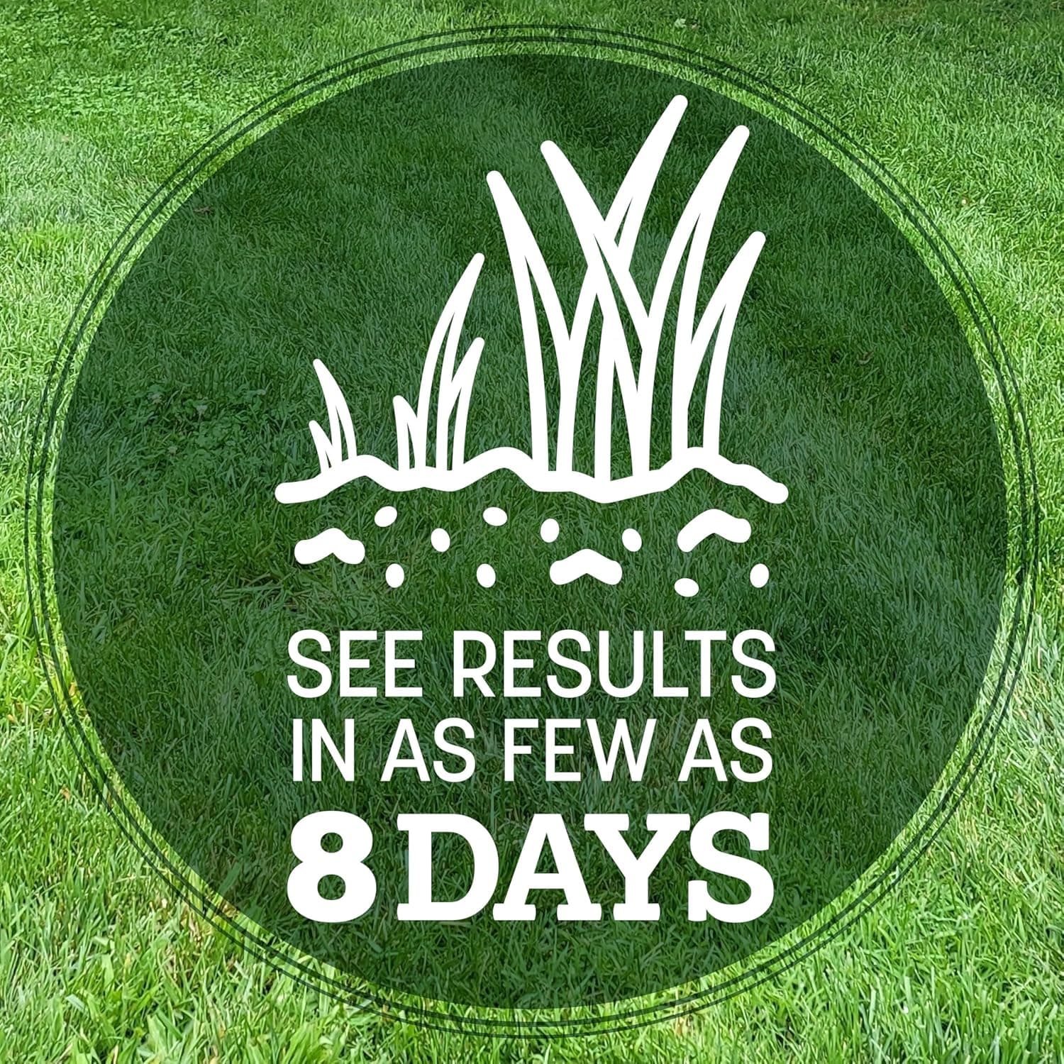 Pennington Kentucky 31 Tall Fescue Penkoted Grass Seed 3 lb - Image 4