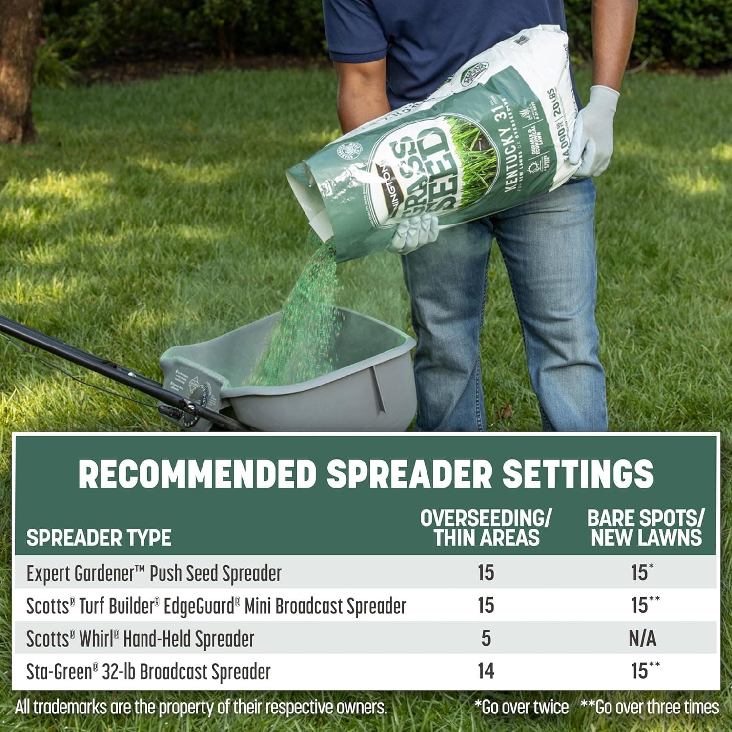 Pennington Kentucky 31 Tall Fescue Penkoted Grass Seed 3 lb - Image 13