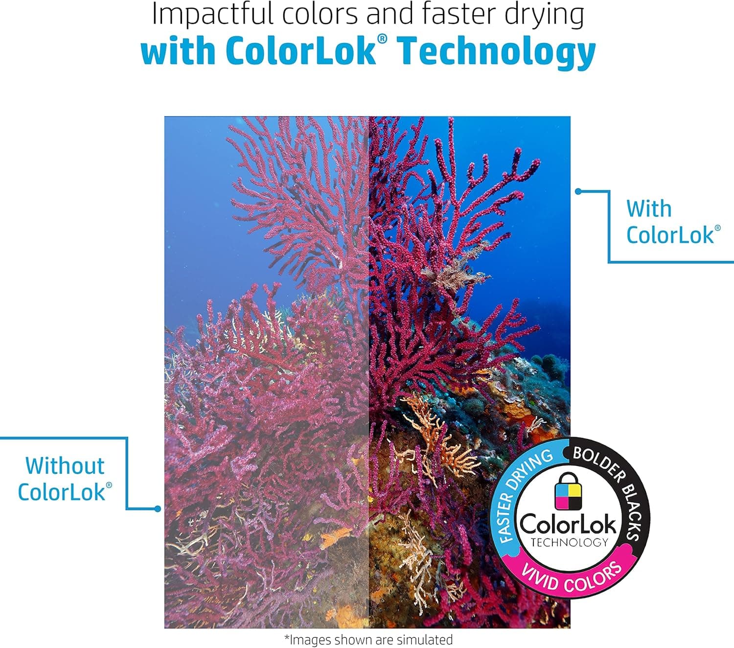 Giấy In HP | Giấy 8.5 x 11 | Copy & Print 20 lb | Hộp 1 Ream - 500 Tờ | 92 Bright | Sản Xuất Tại Mỹ - FSC Certified | 2 - Image 6